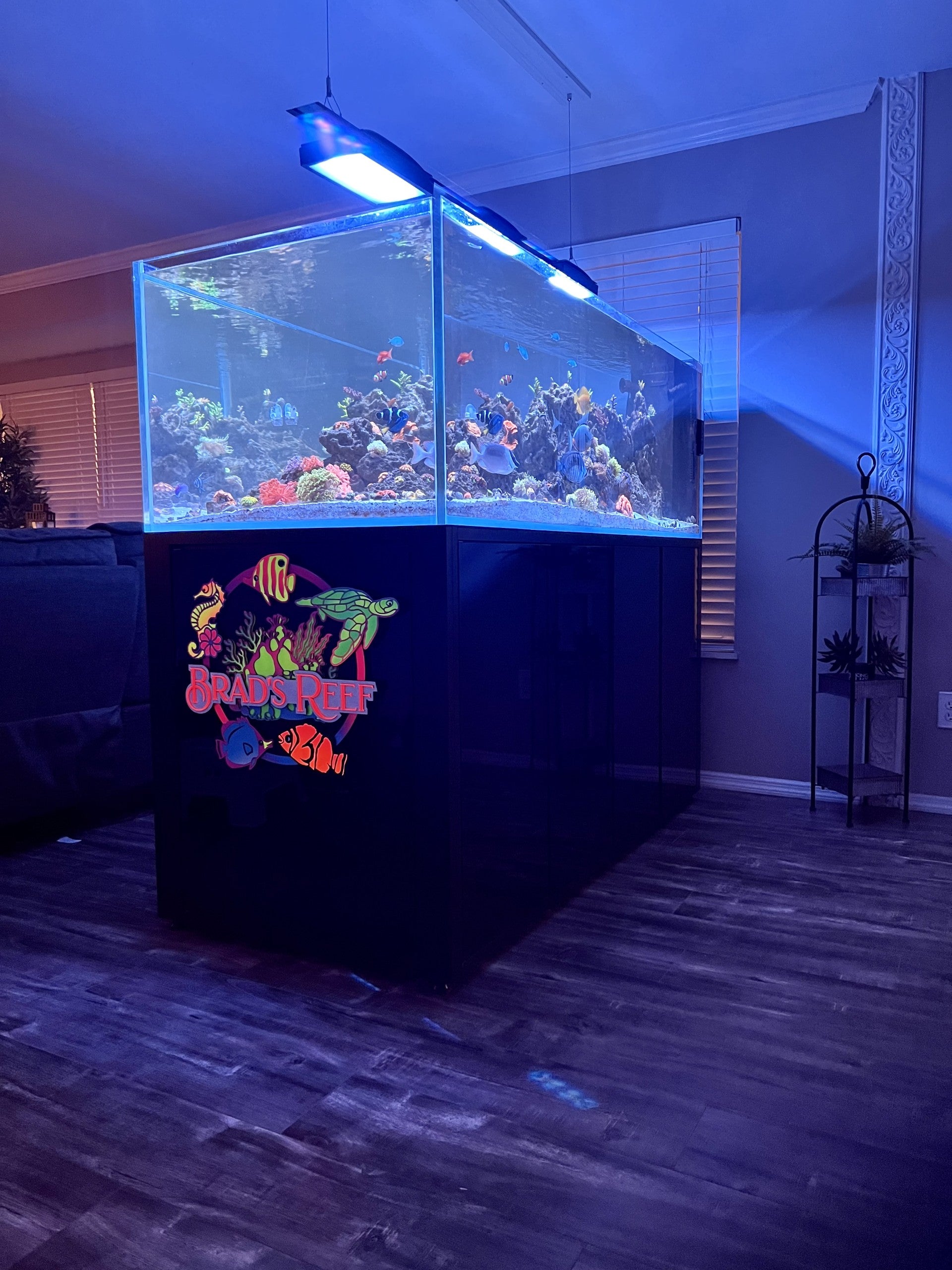 Aquariums