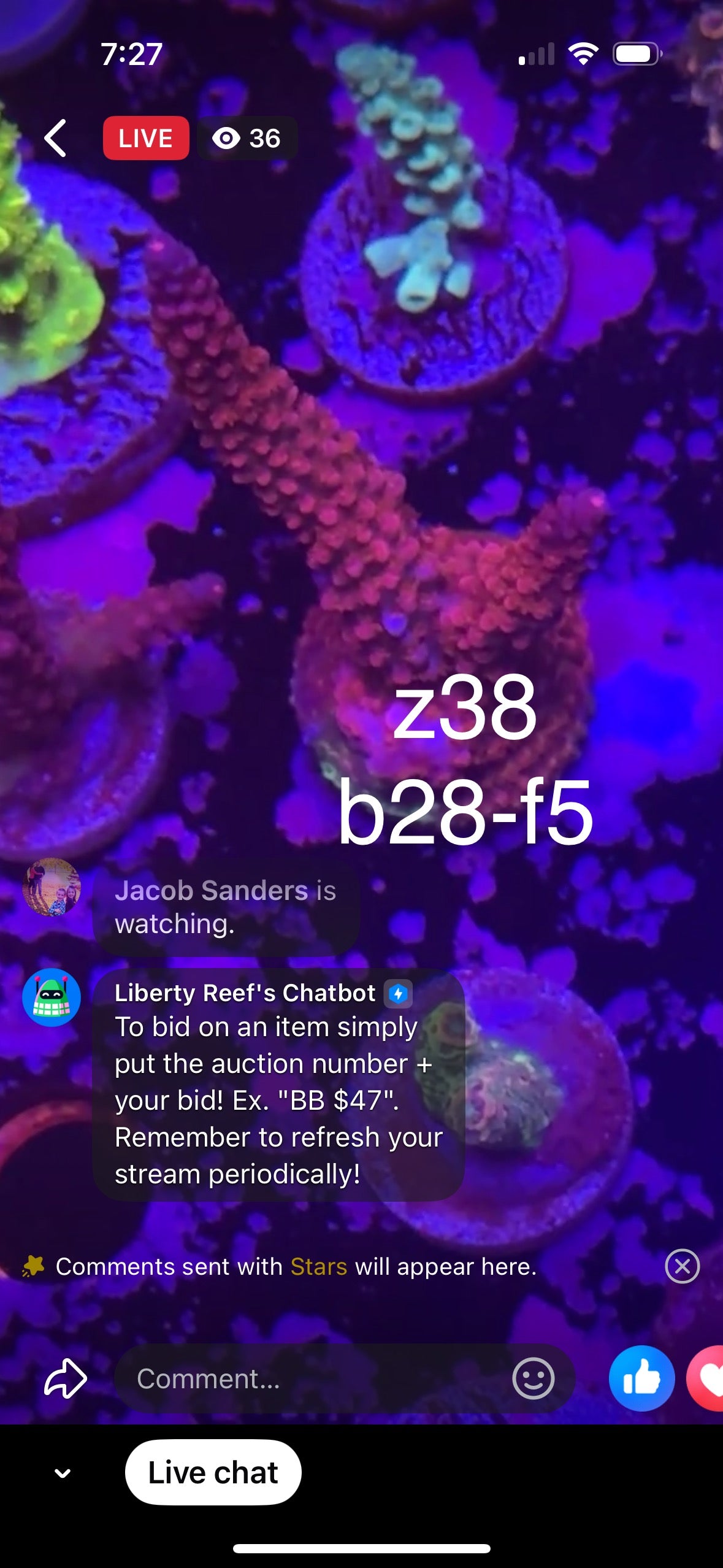 3/8 Kelsi Hohensee Live Facebook Auction (Click to View Breakdown)