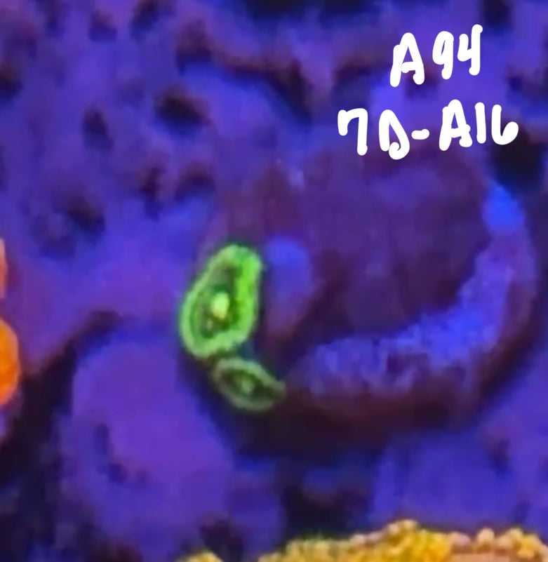 Karen Ritner 10/25 Facebook Live Auction