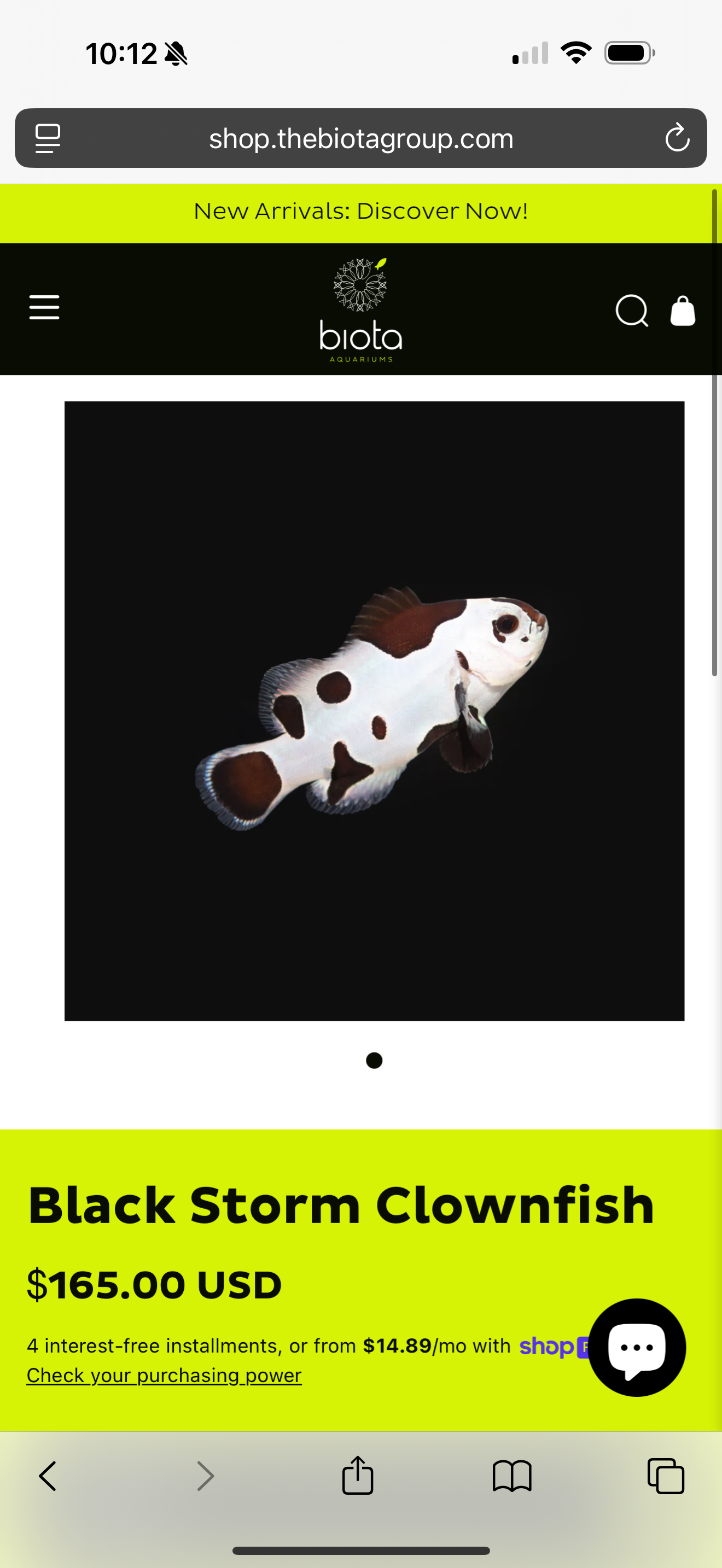 12x Black Storm Clown