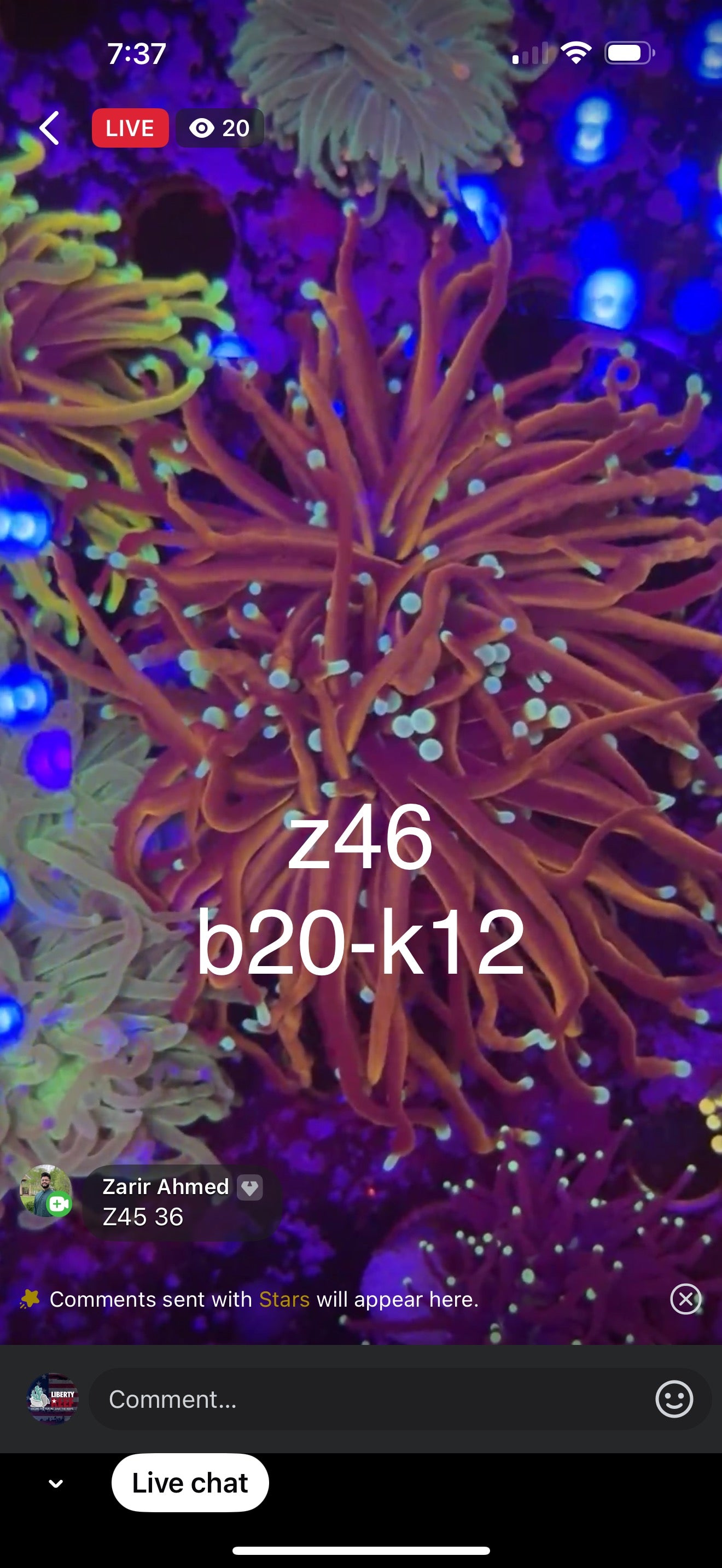 5/31 Cory Buckley Live Facebook Auction