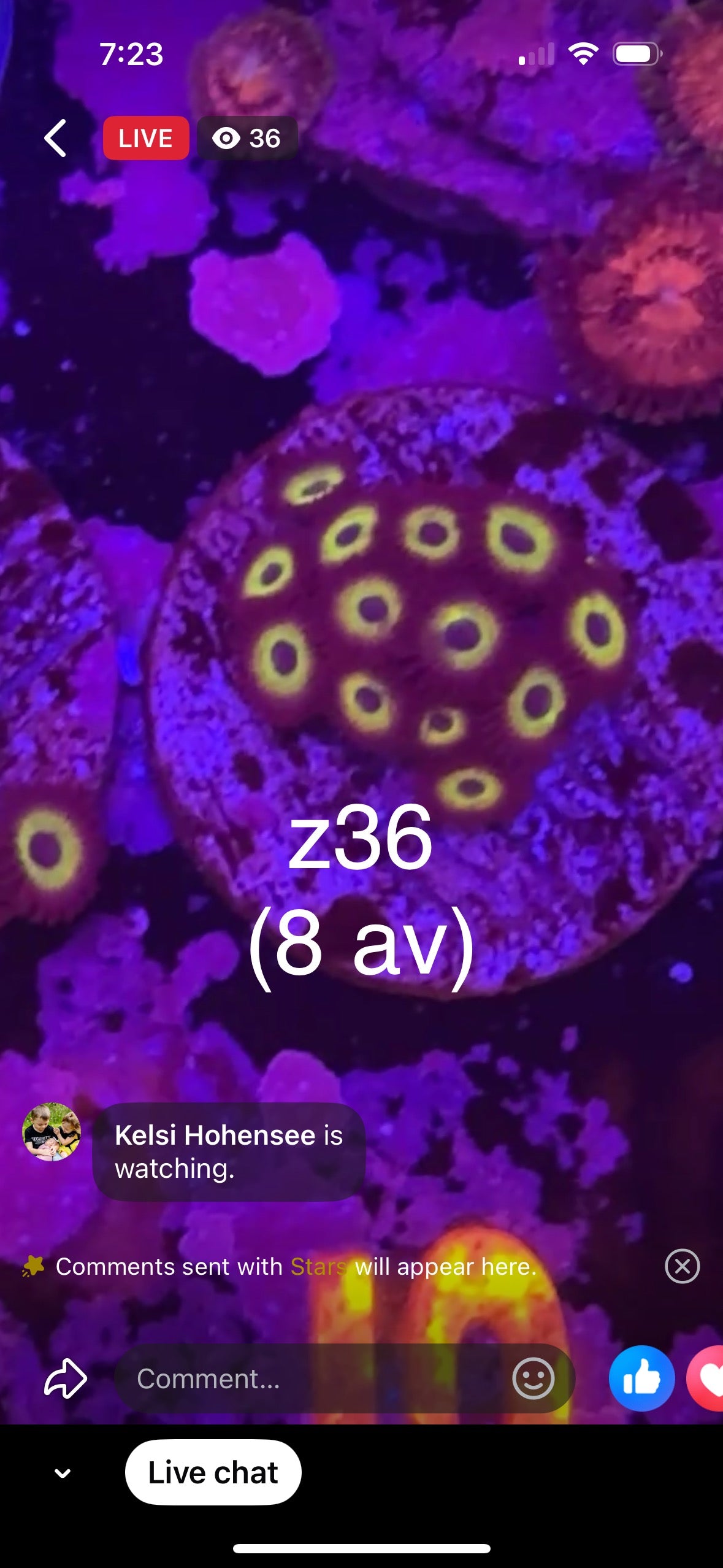 3/8 Kelsi Hohensee Live Facebook Auction (Click to View Breakdown)