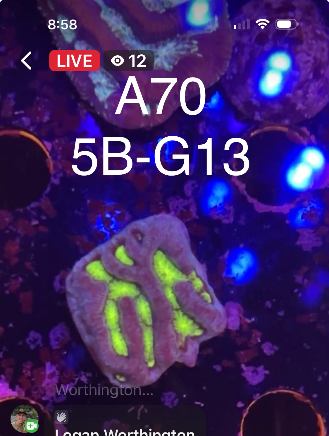 9/6 Facebook Live Auction
