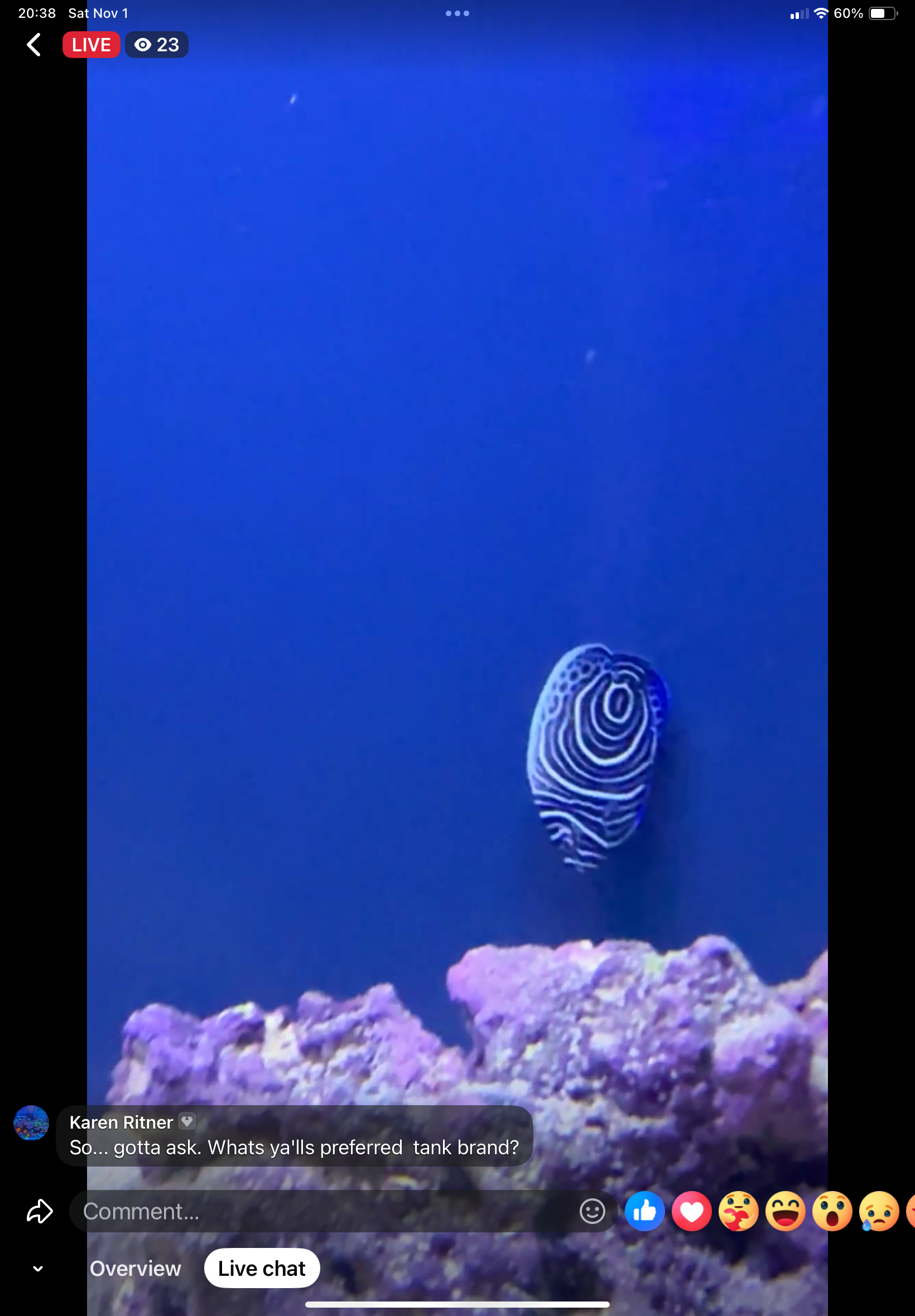 Facebook Live Auction 11/1