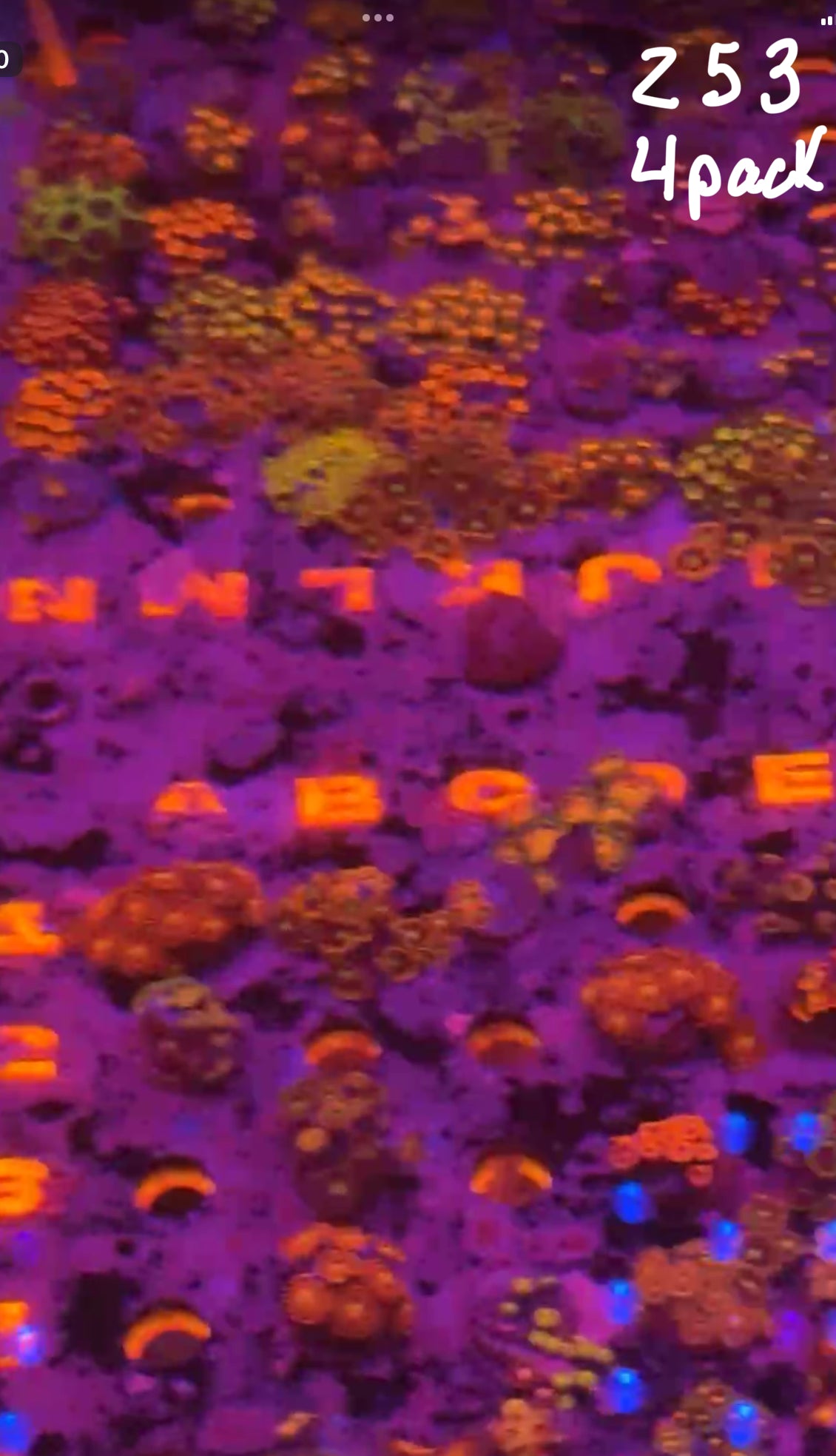 Facebook Live Auction 11/1