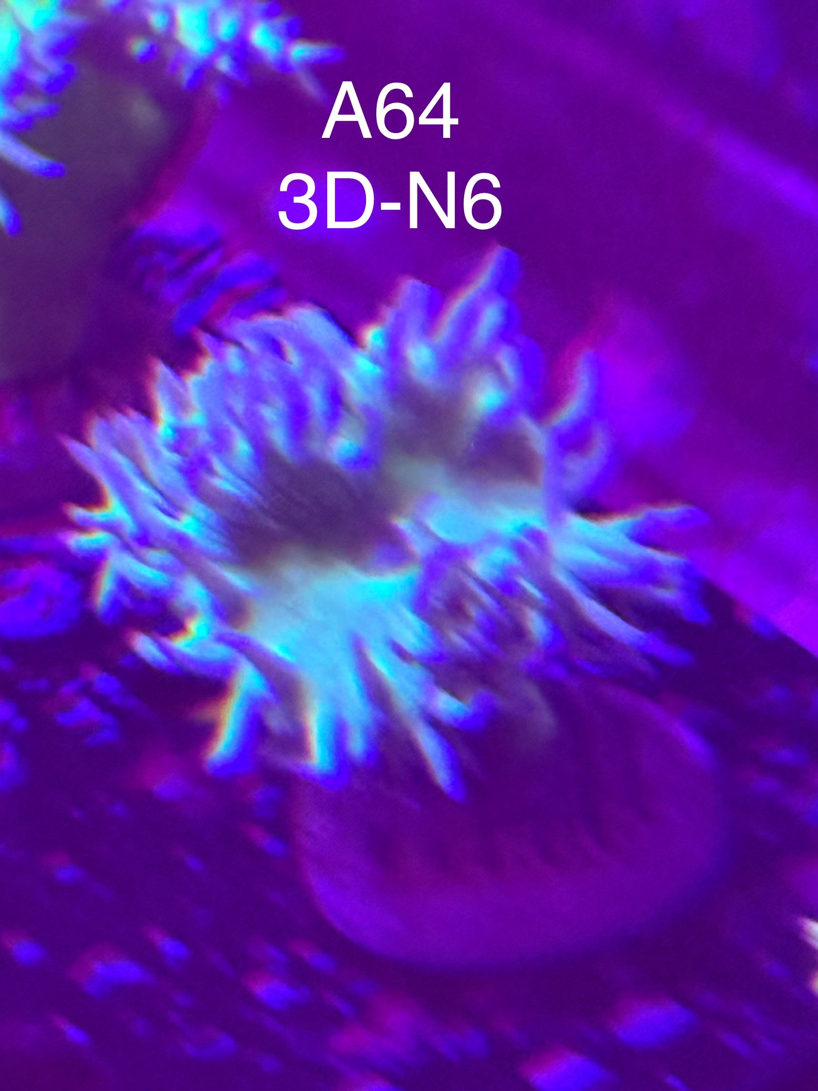 7/12