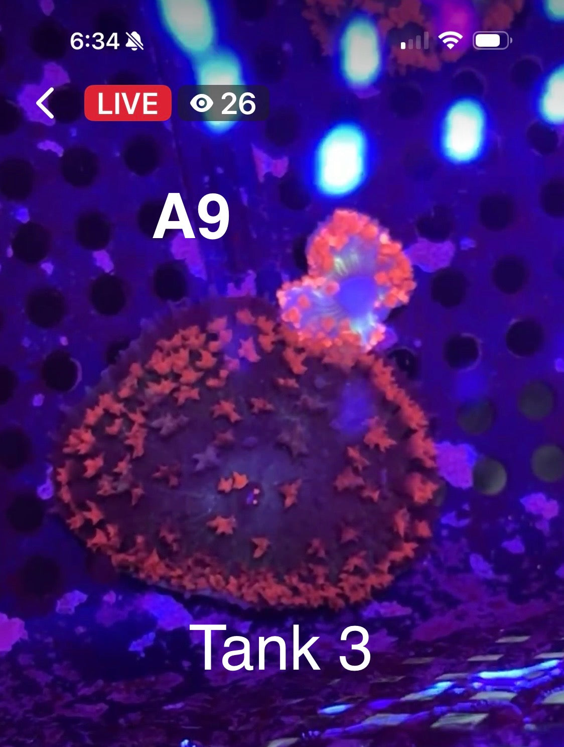 Facebook Live Auctioning