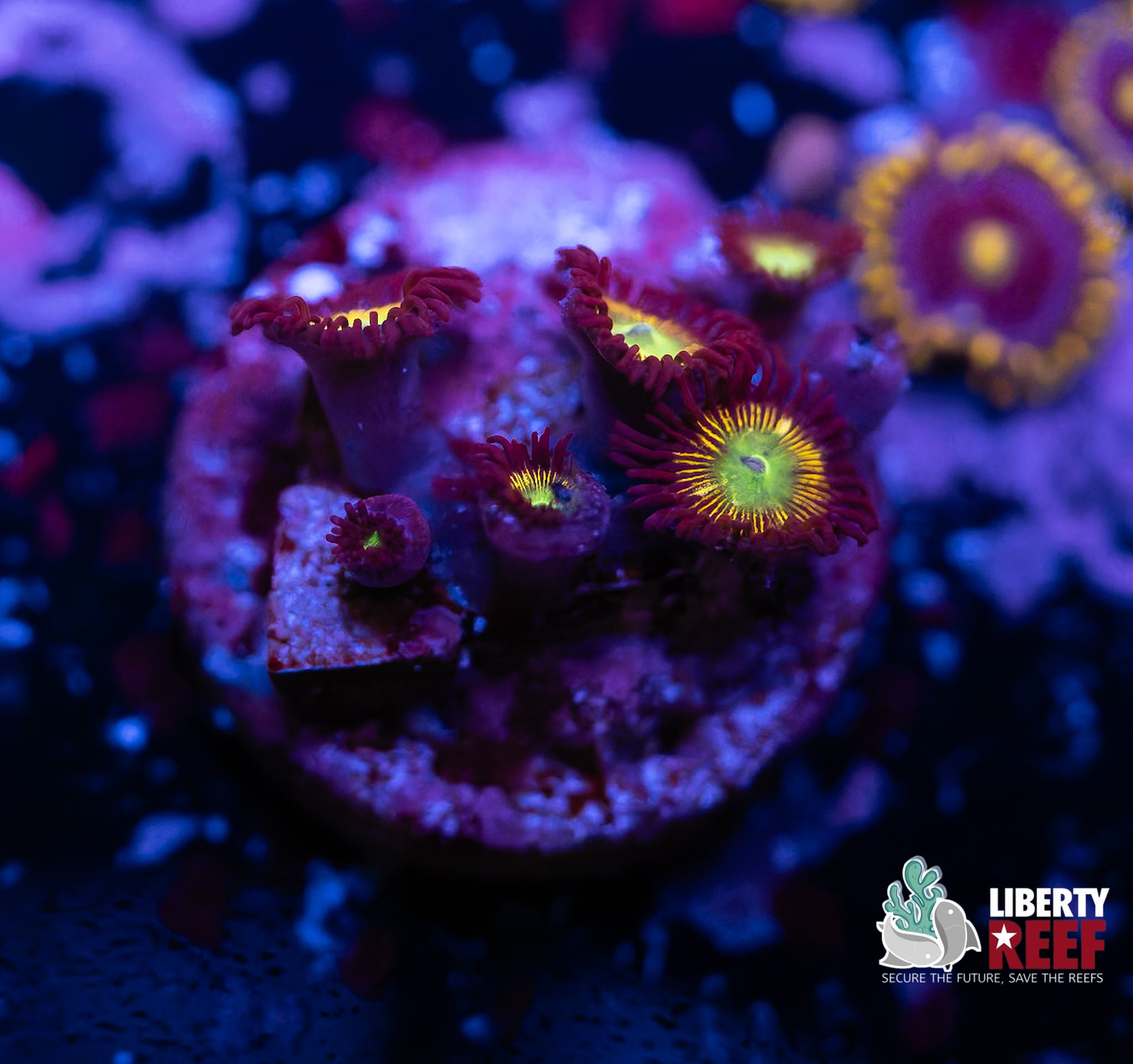 7/25