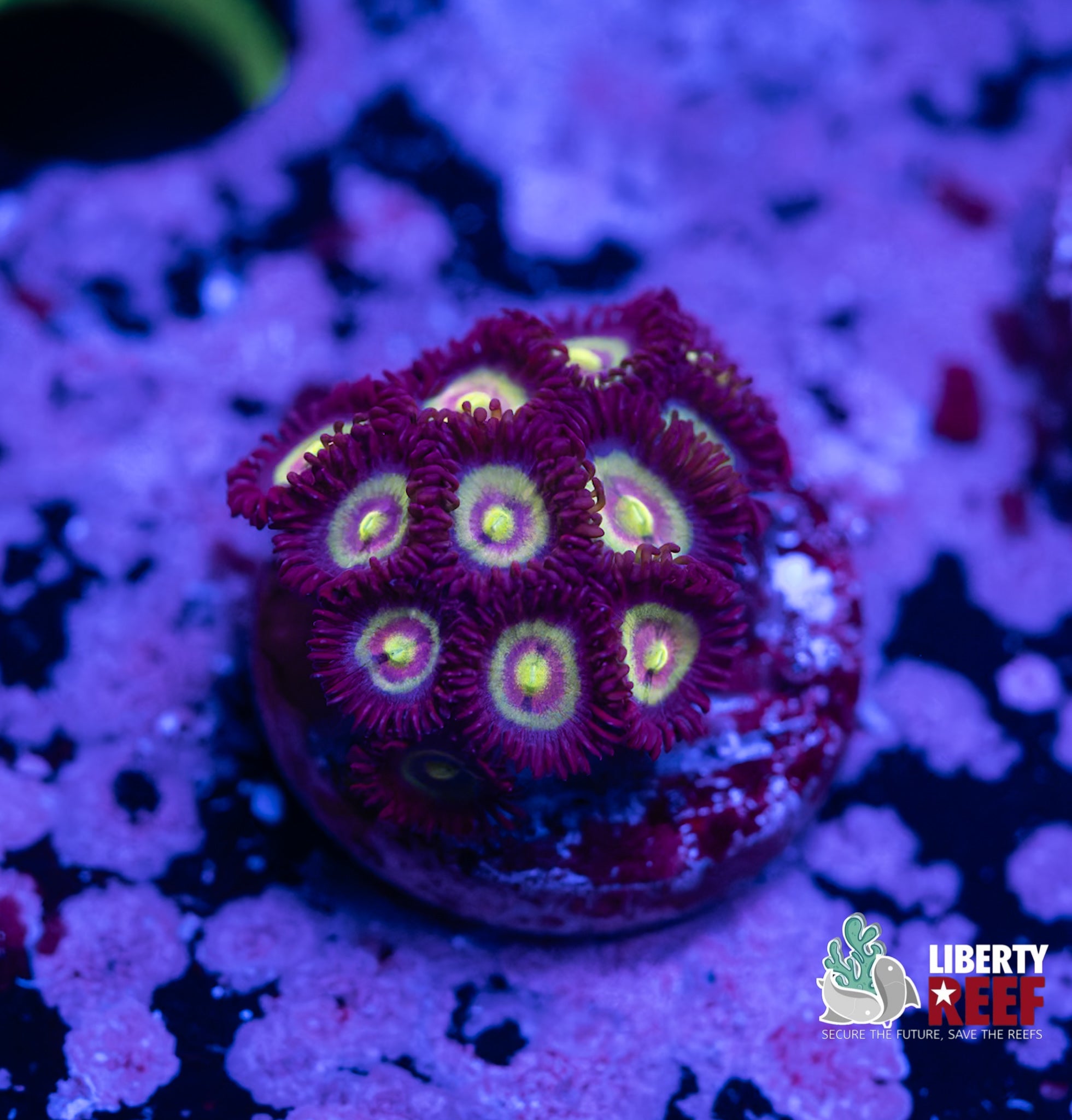 7/25