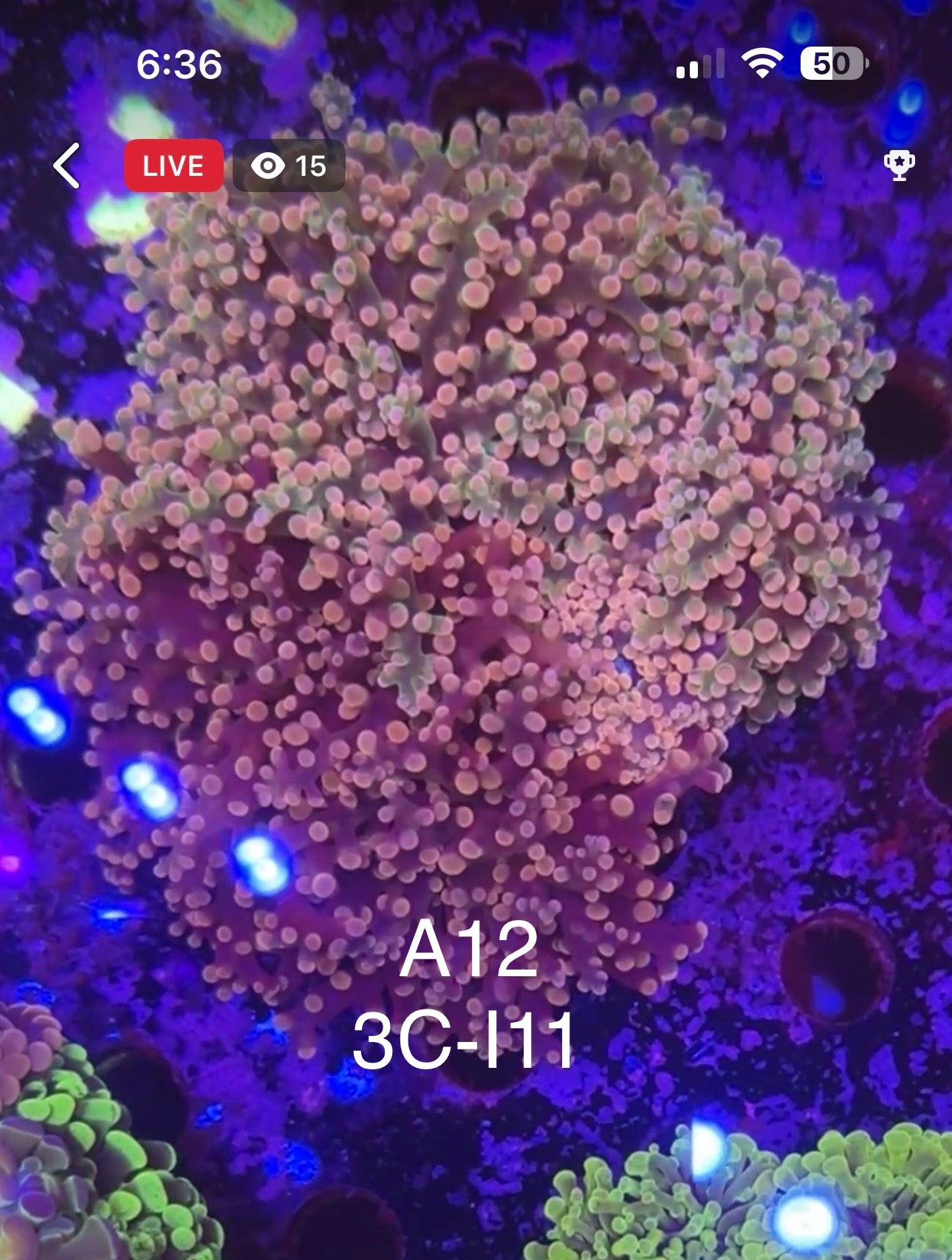 7/12