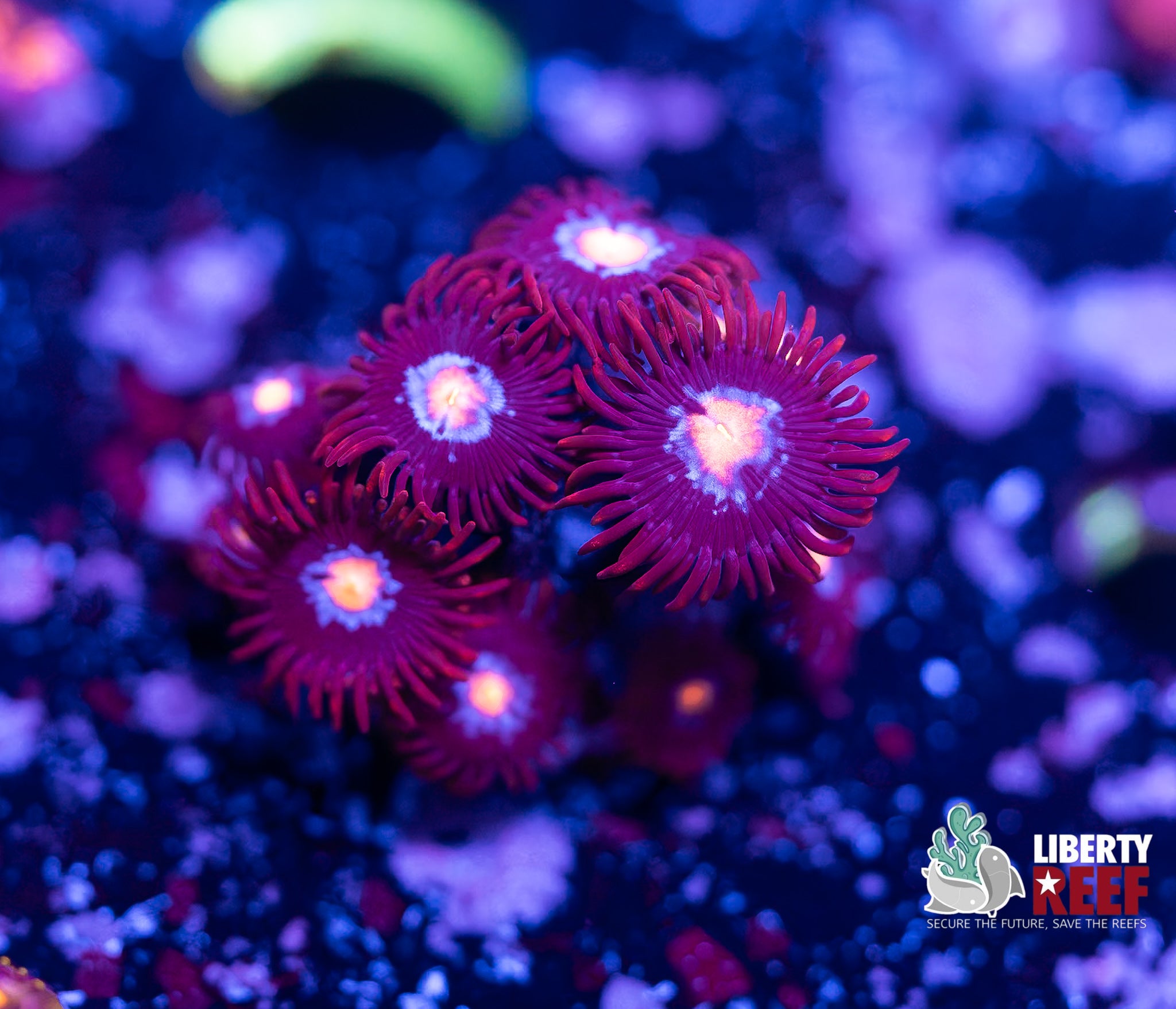 7/25
