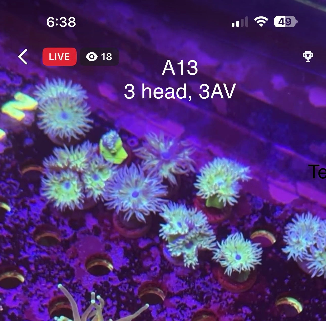 7/12