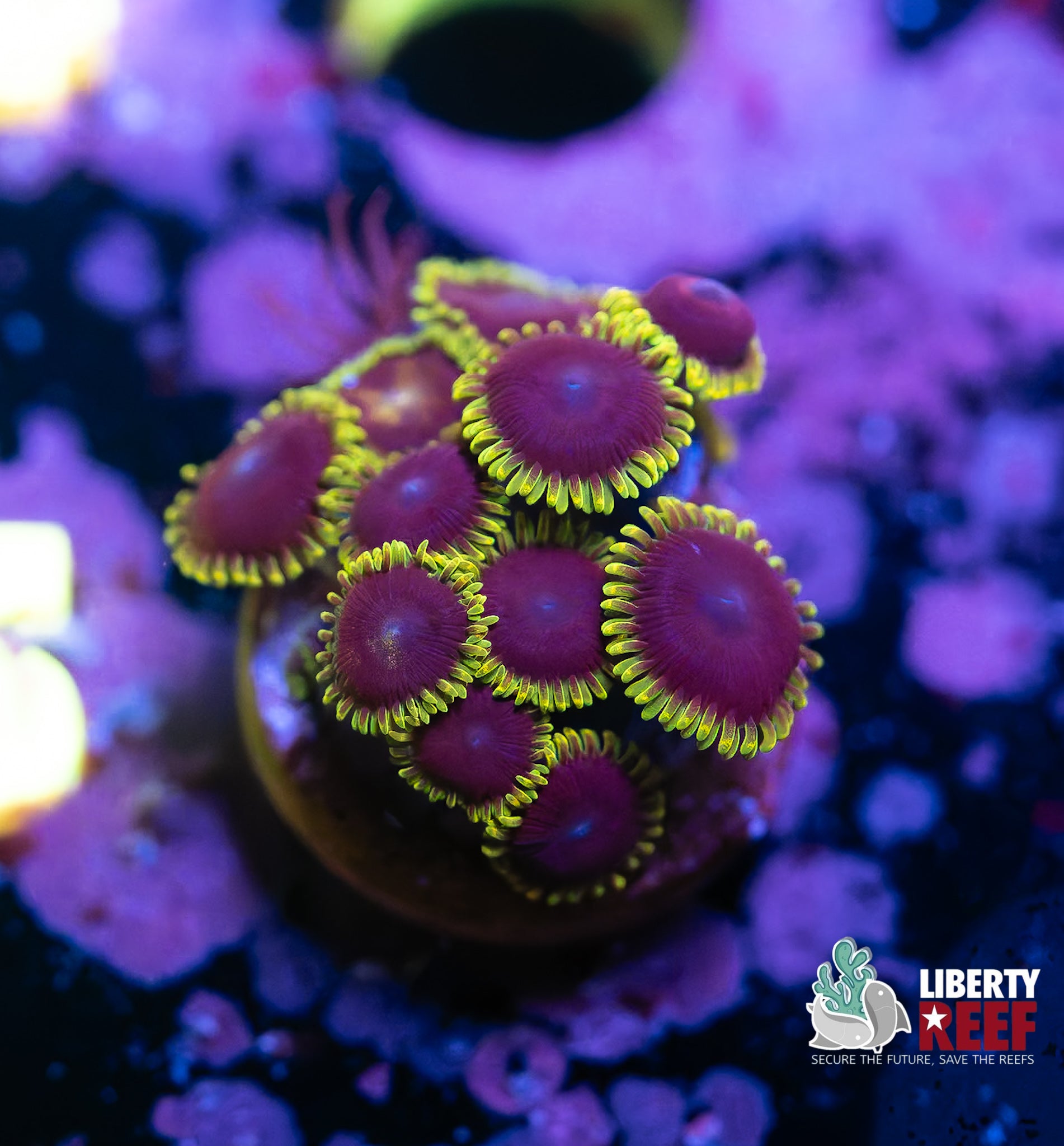 7/25