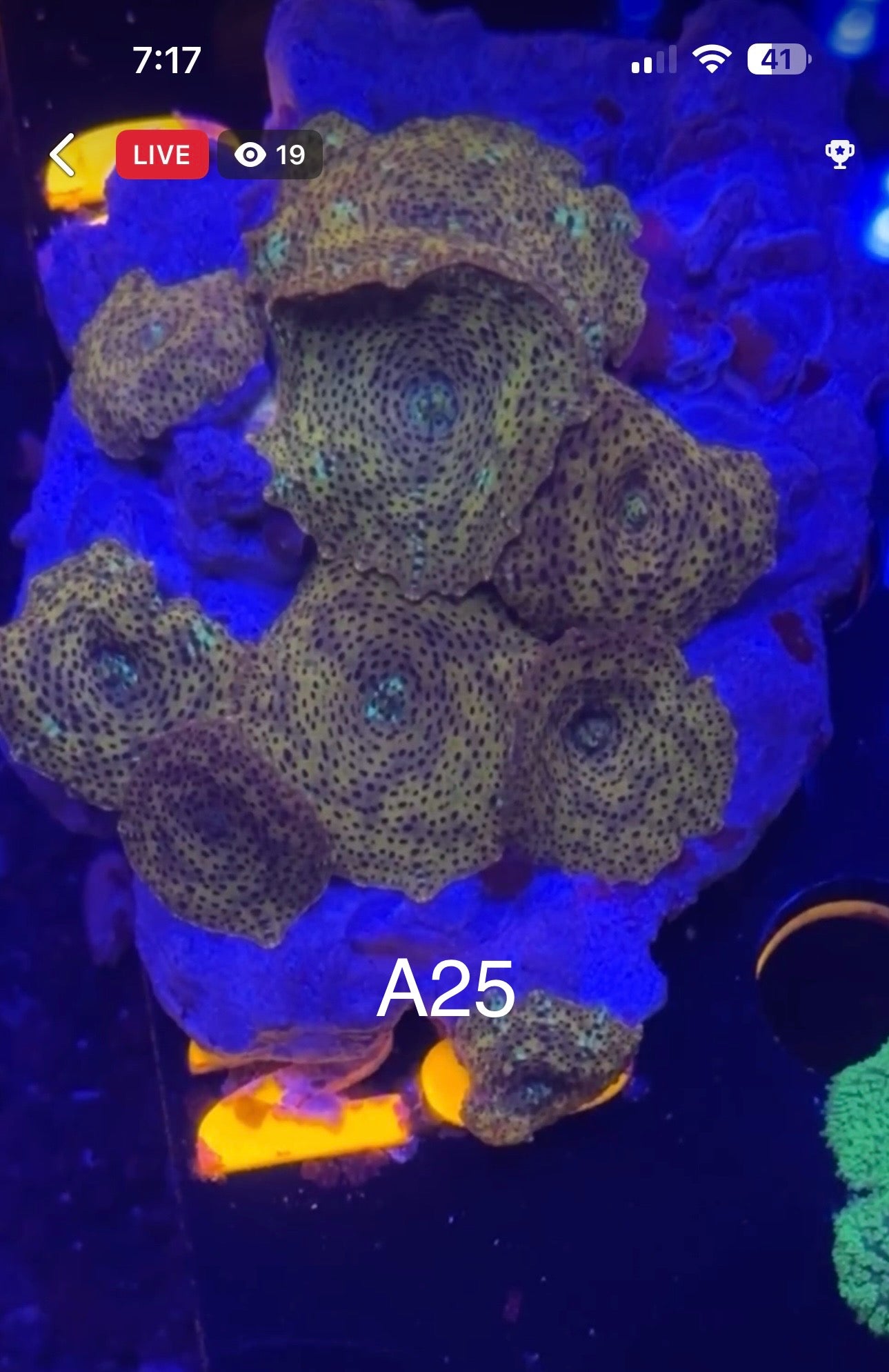 7/12