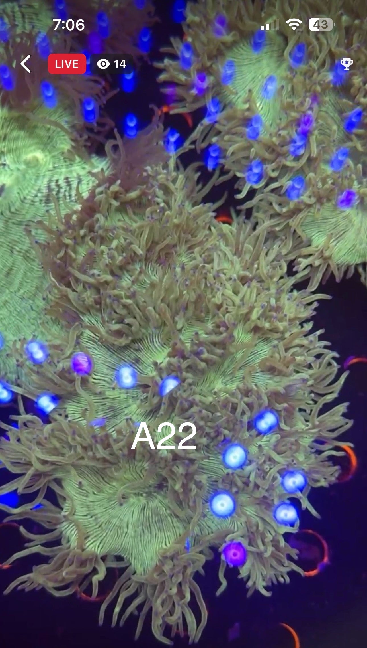 7/12