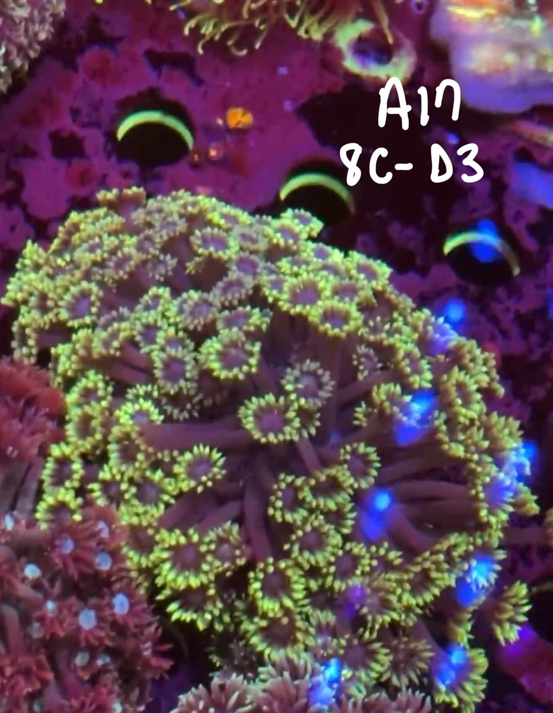 Karen Ritner 10/25 Facebook Live Auction