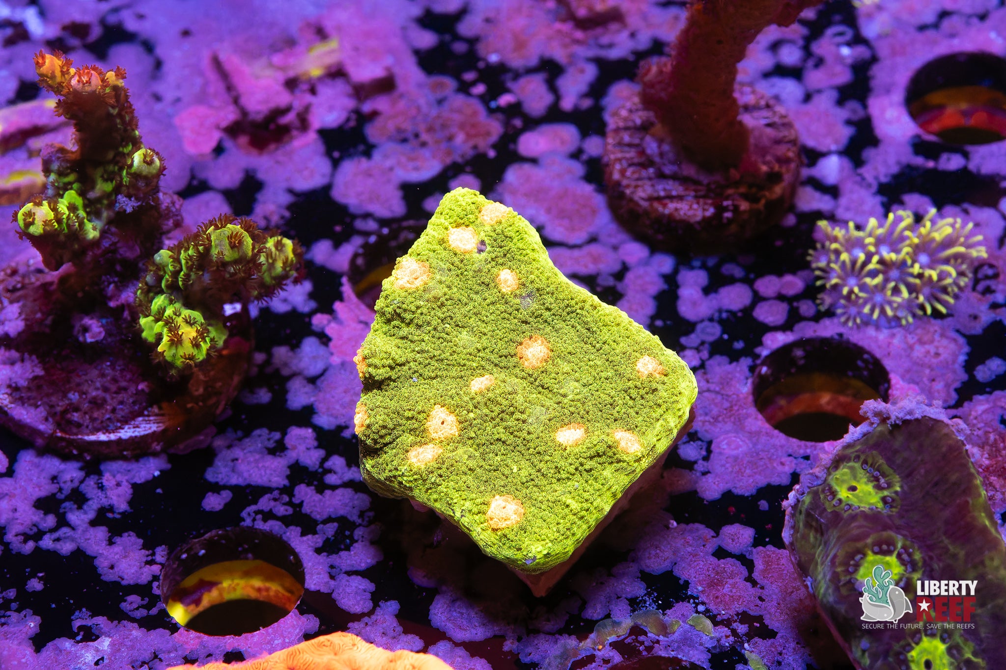 Space Invader Chalice