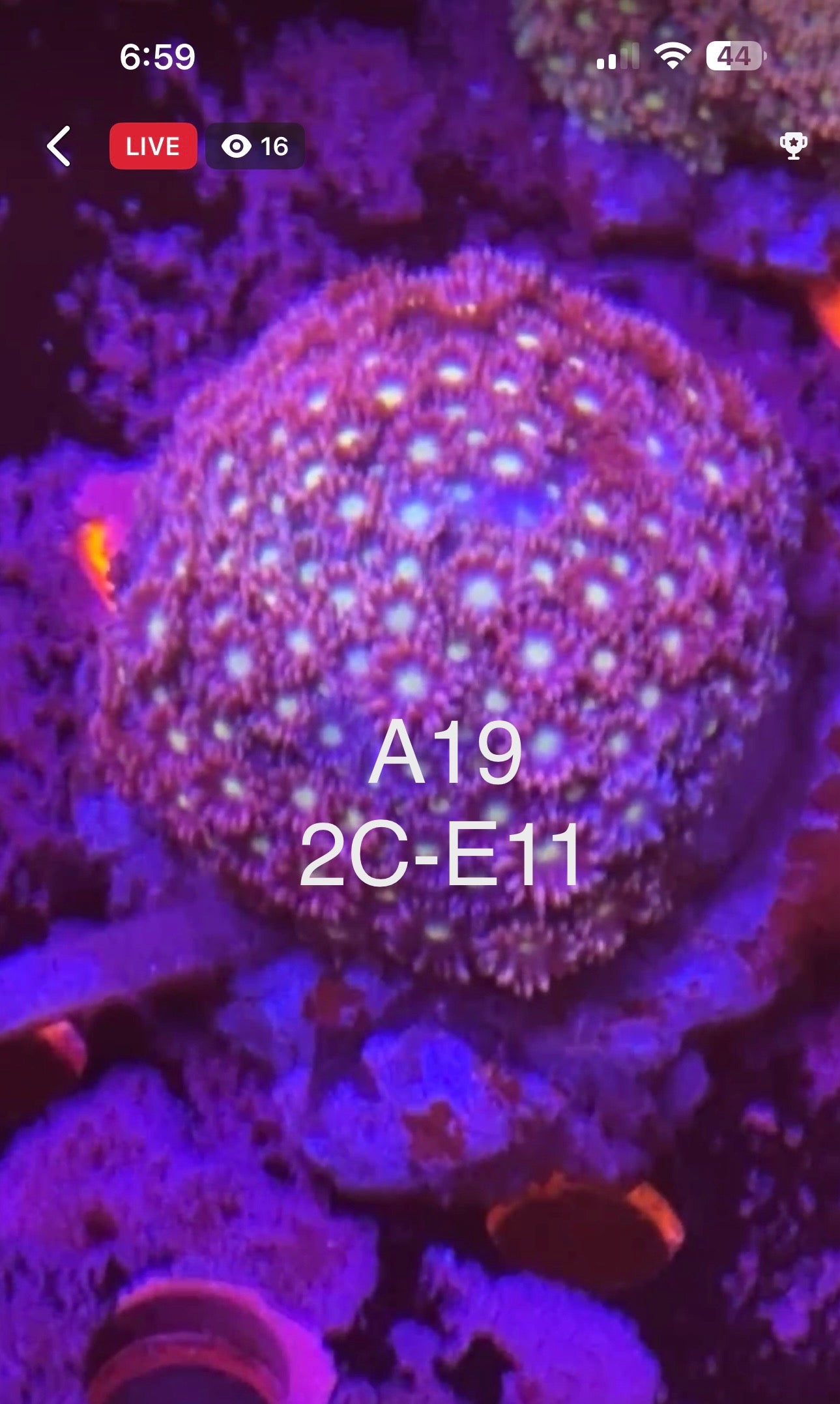 7/12