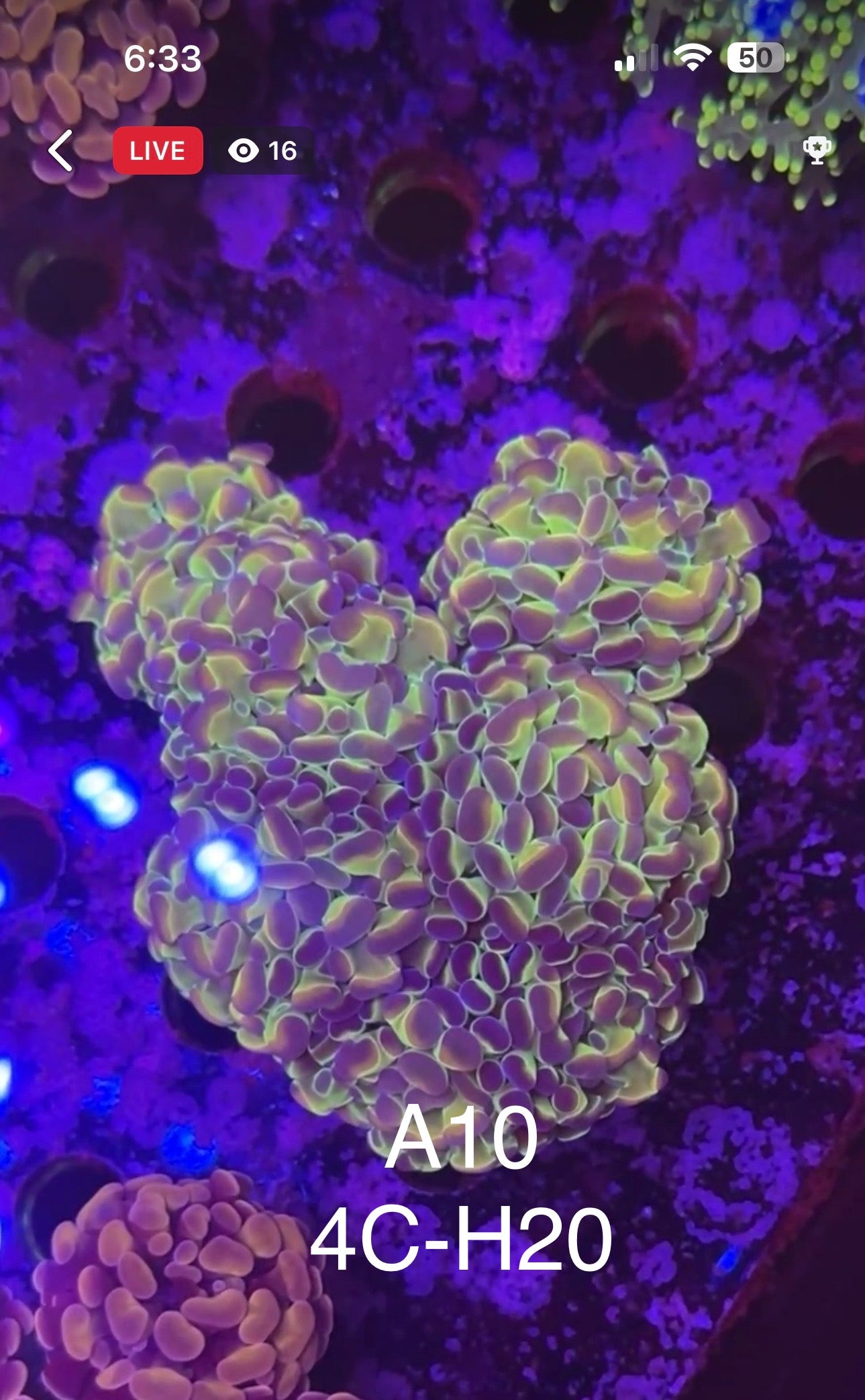 7/12