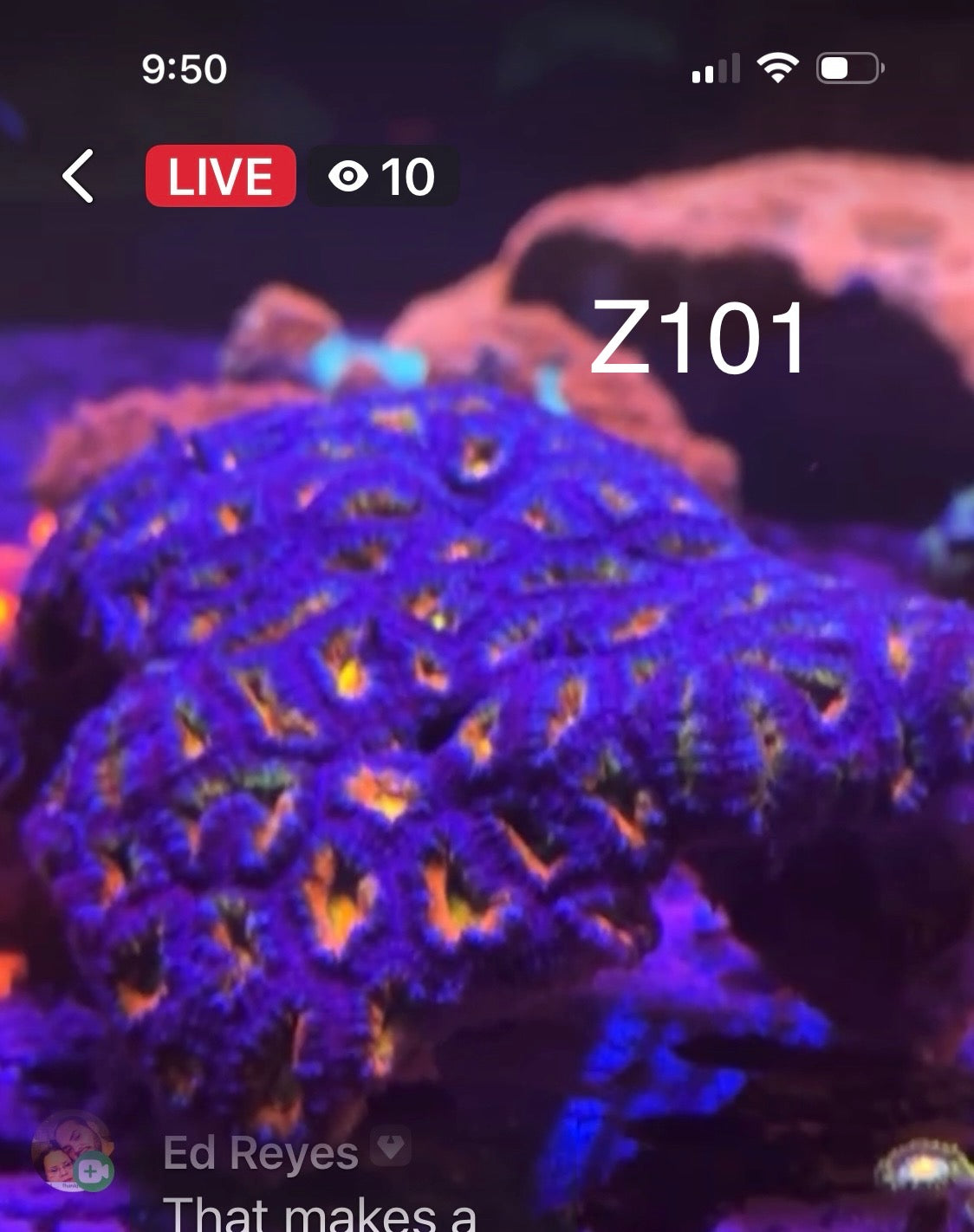(Copy) 7/26 Facebook Live Auction