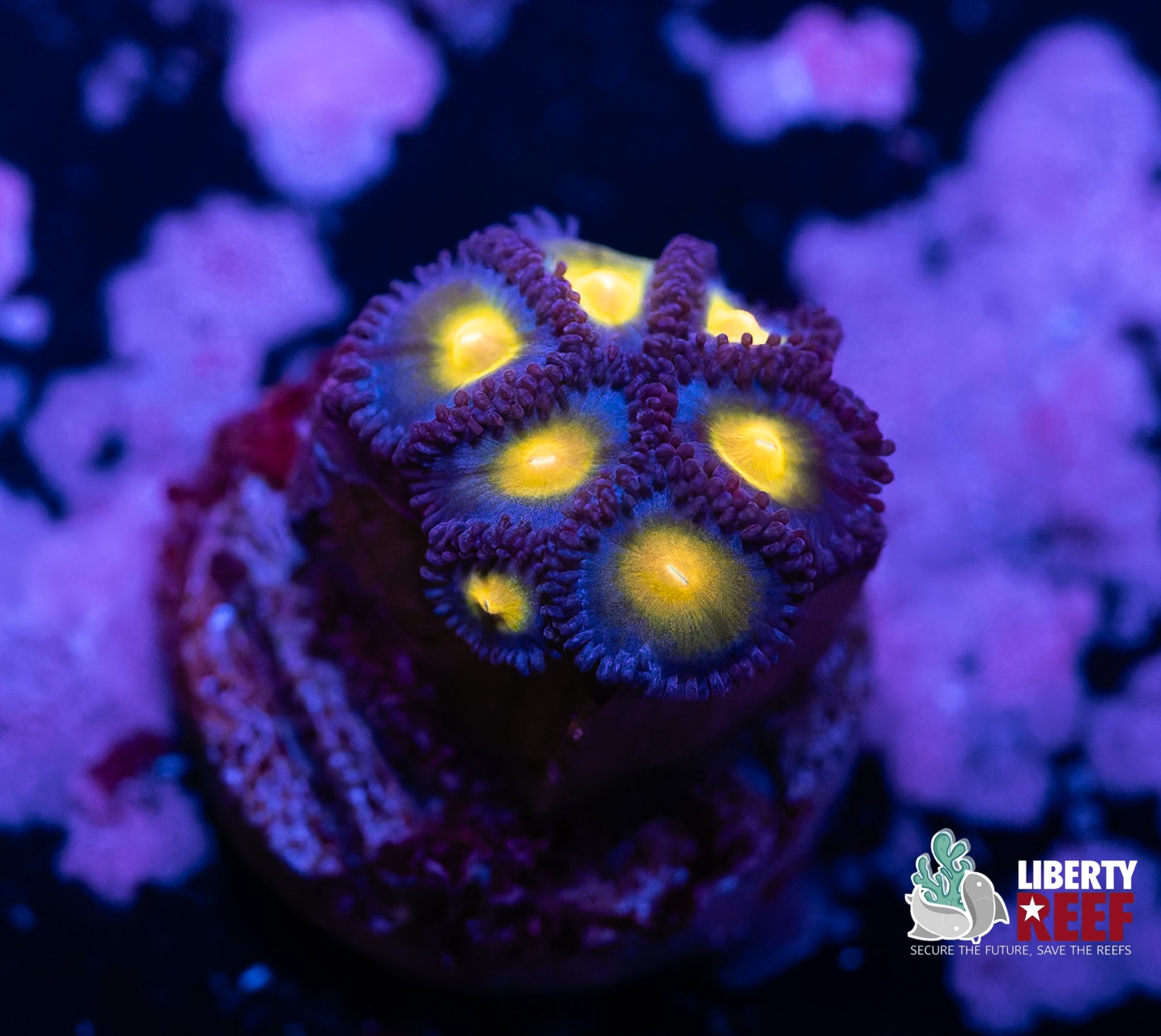 7/25