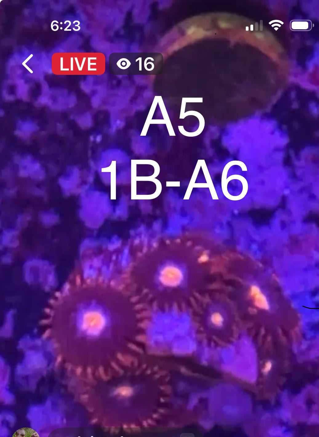 9/6 Facebook Live Auction
