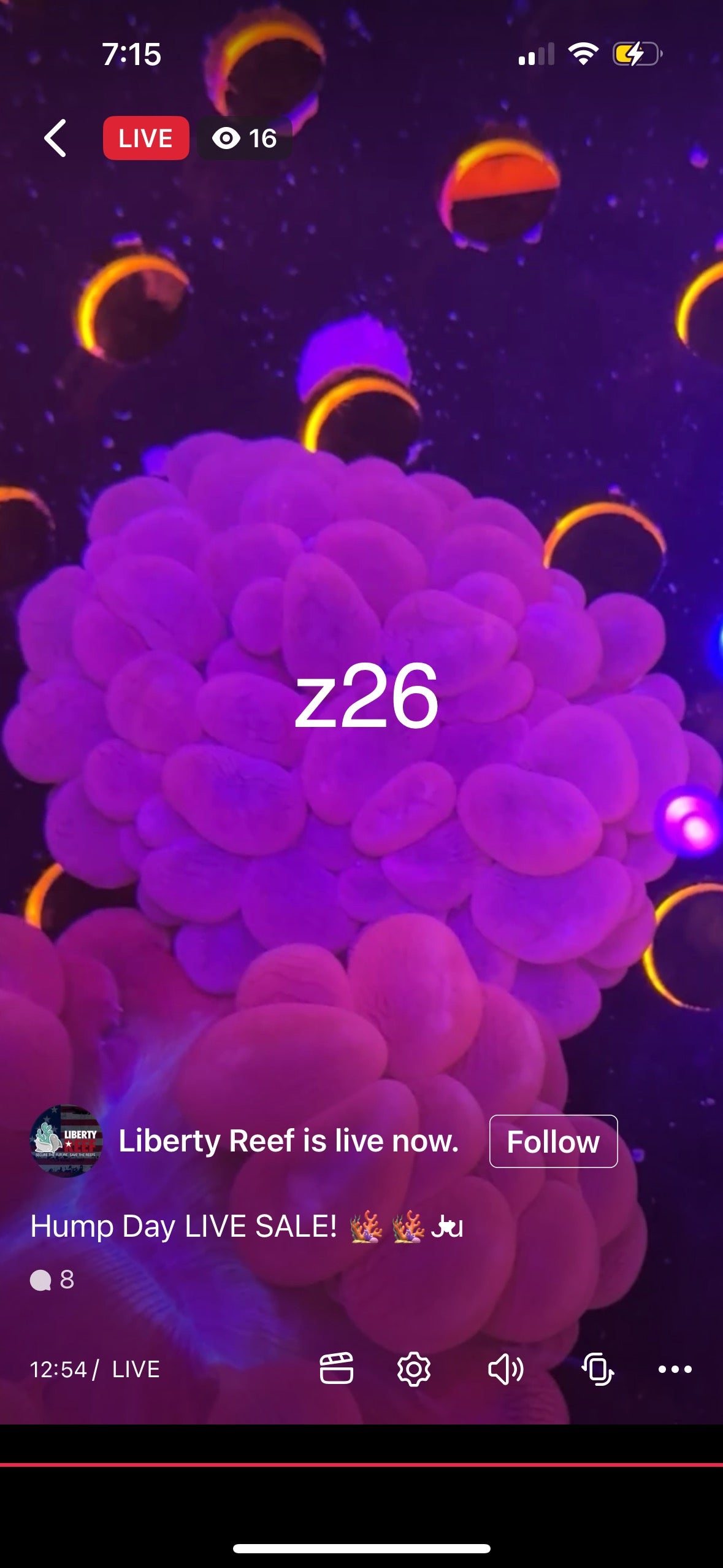 5/28 Martin MacKenzie Live Sale