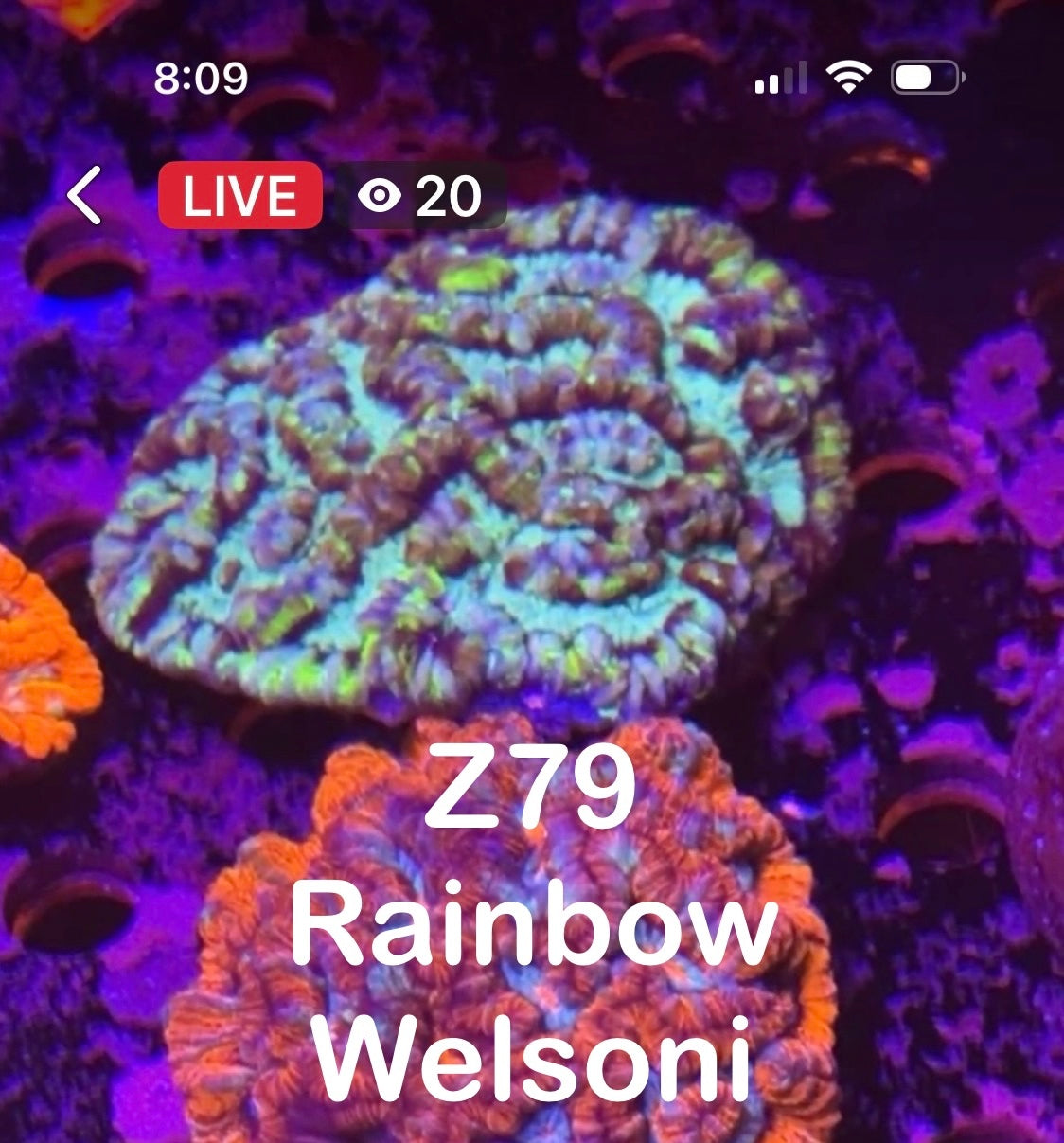 Val Dillavou 8/9 Facebook Live Auction