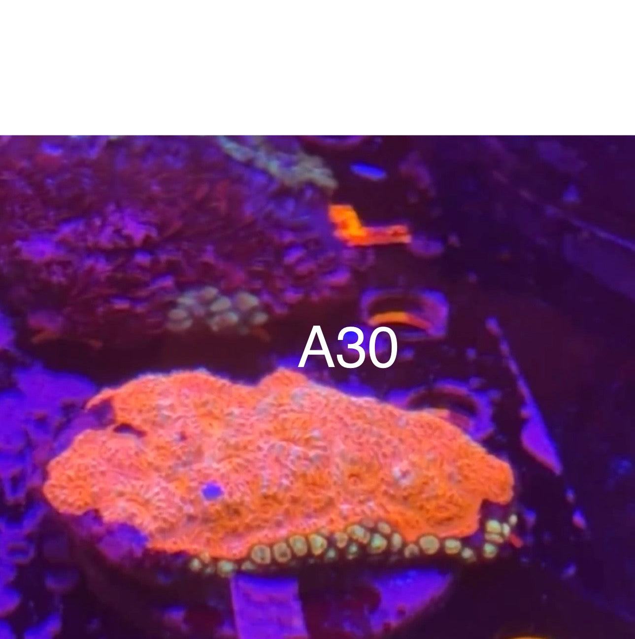 7/12