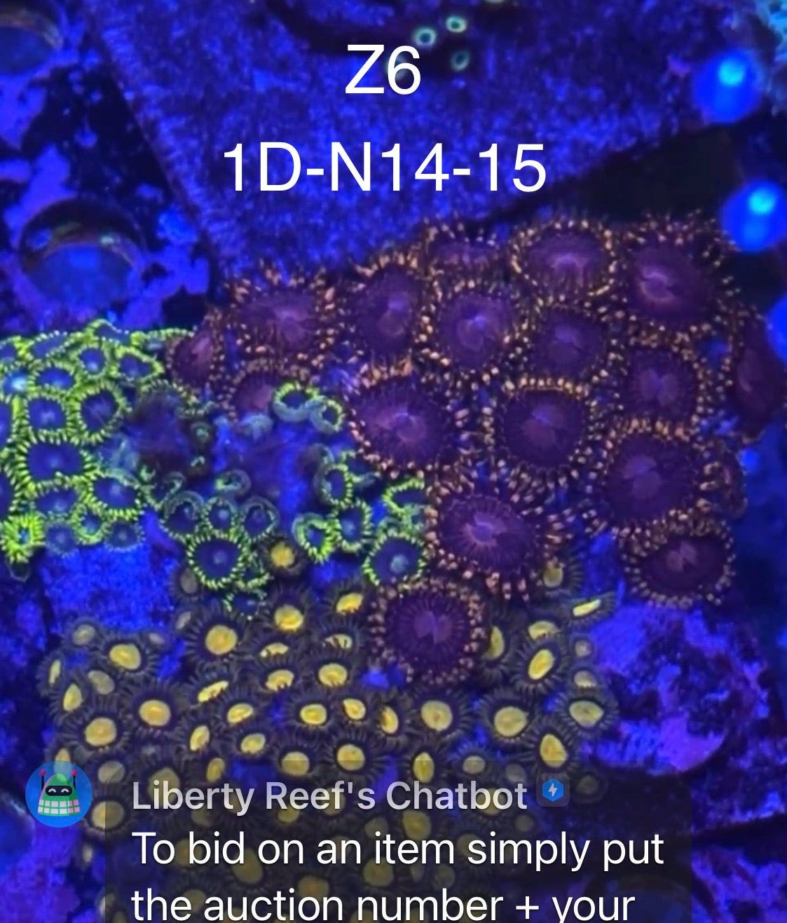 Val Dillavou 8/9 Facebook Live Auction