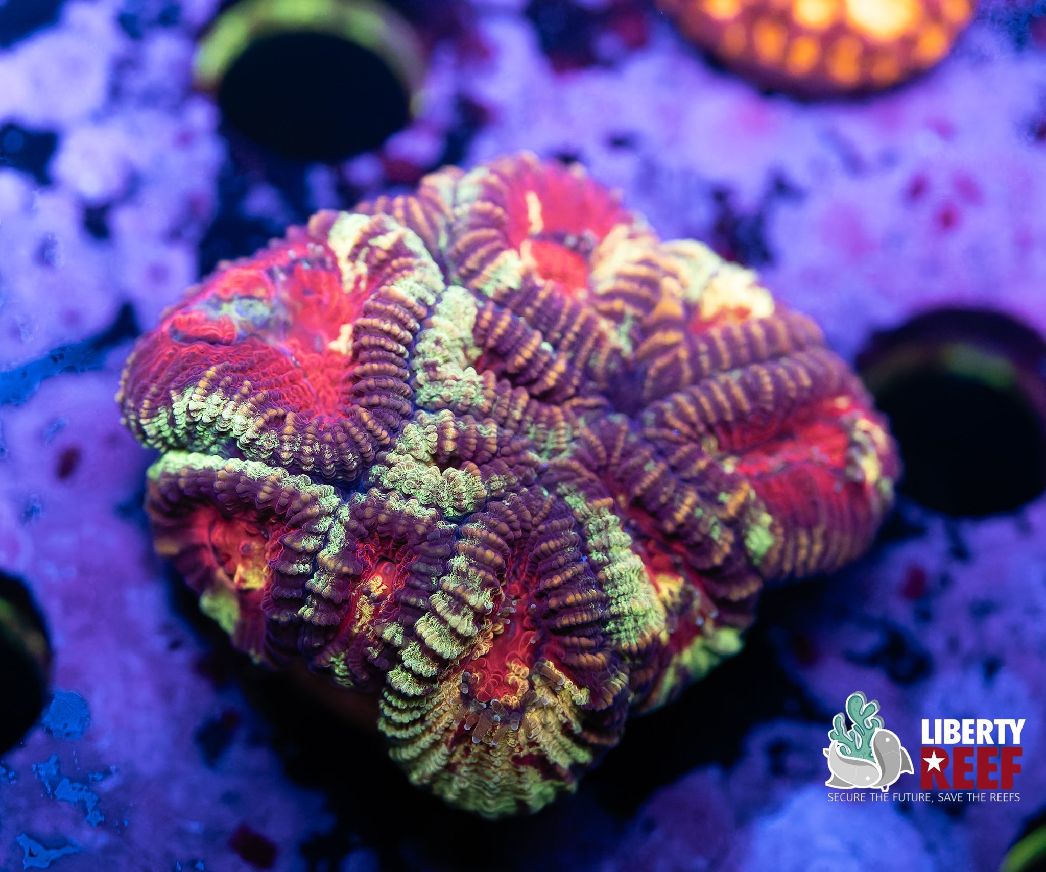 7/25