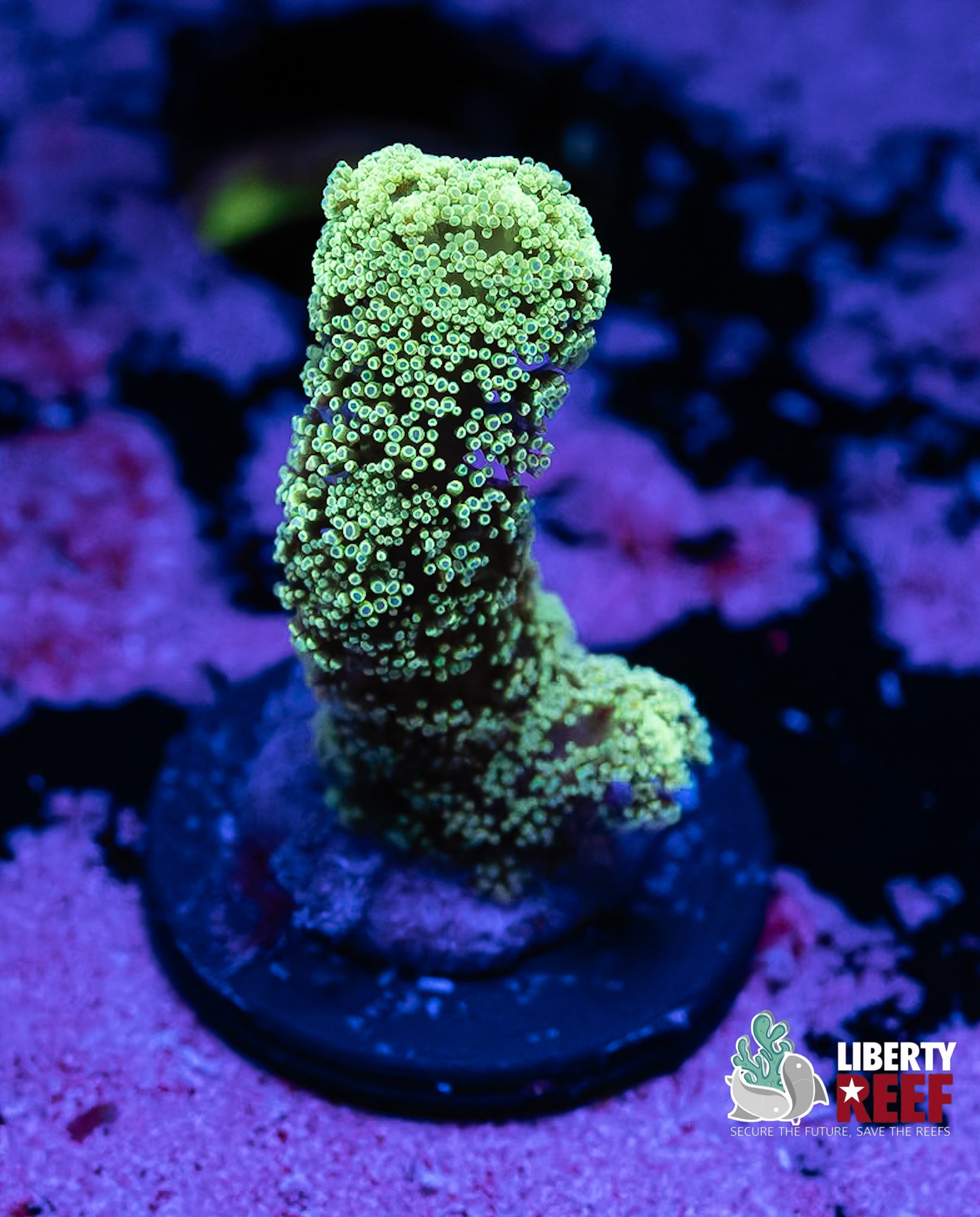 Green Acro Chunk
