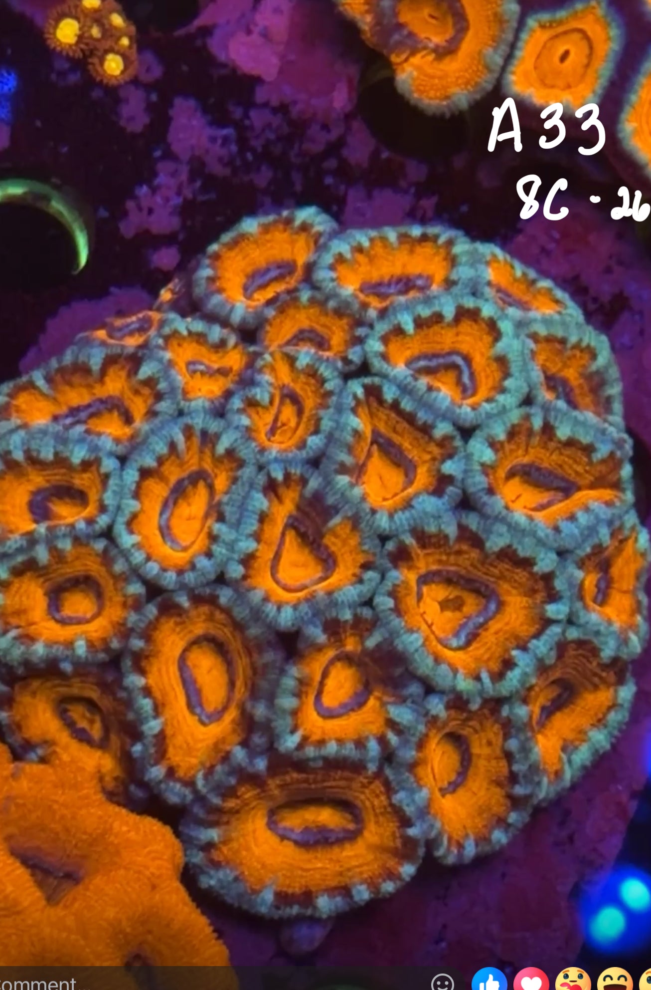 Val Dillavou 10/25 Facebook Live Auction