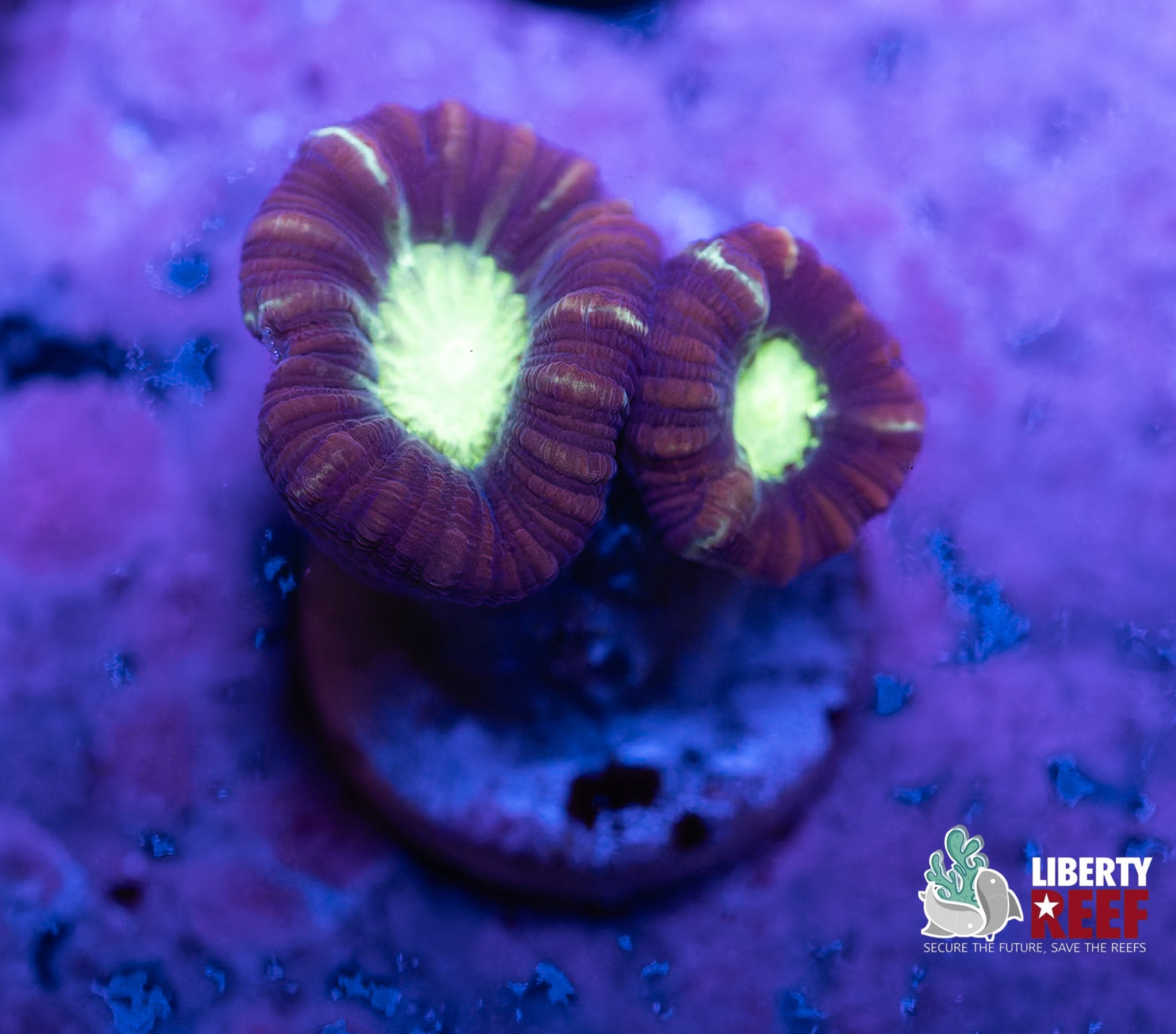 7/25