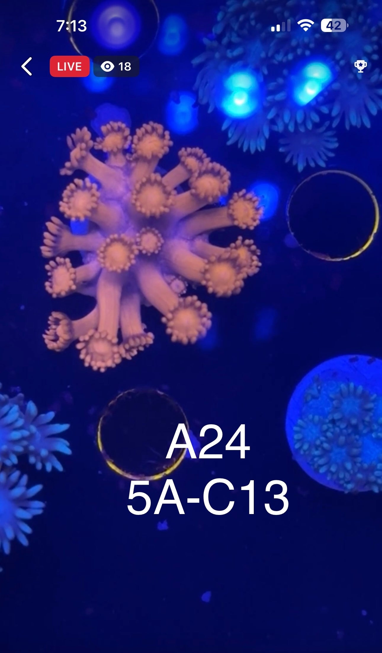 7/12