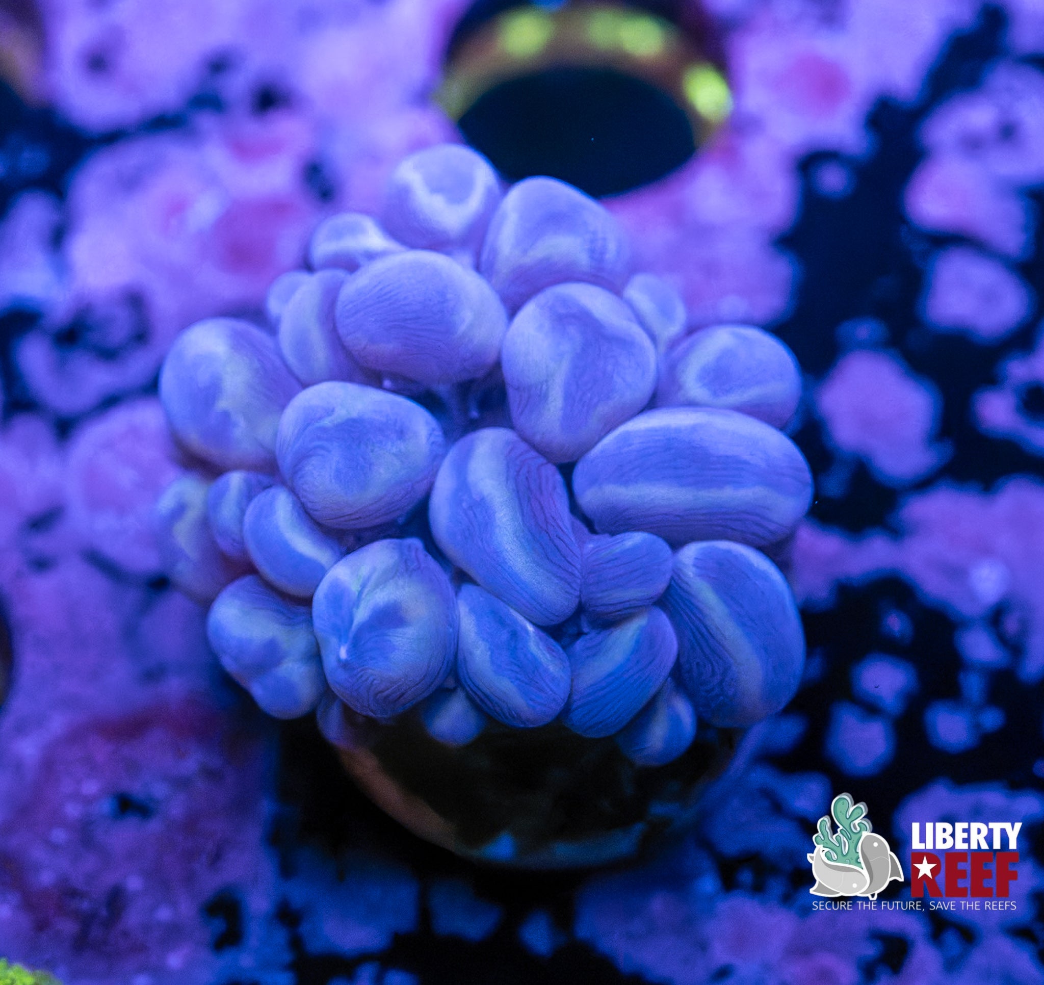 7/25
