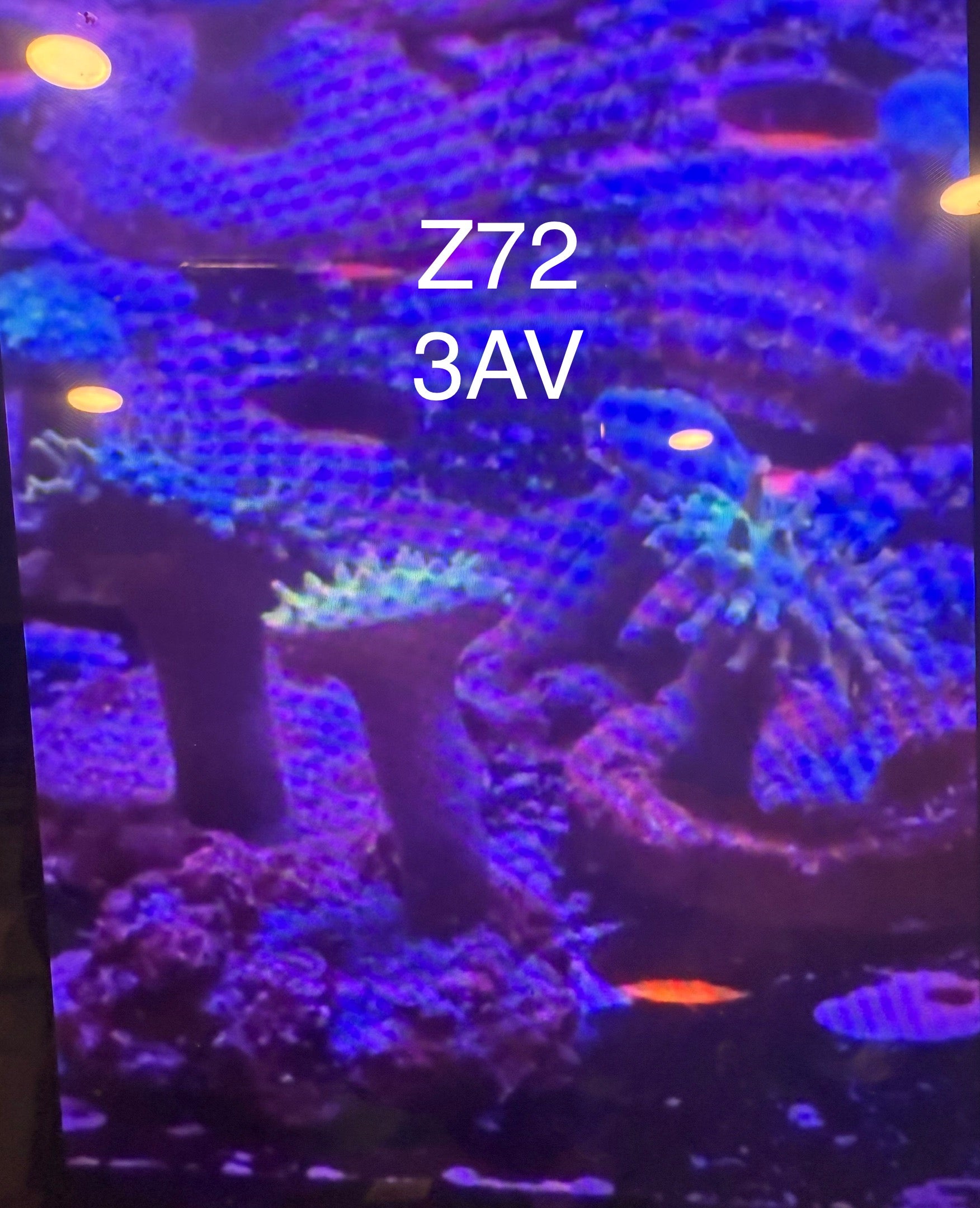 (Copy) 7/26 Facebook Live Auction