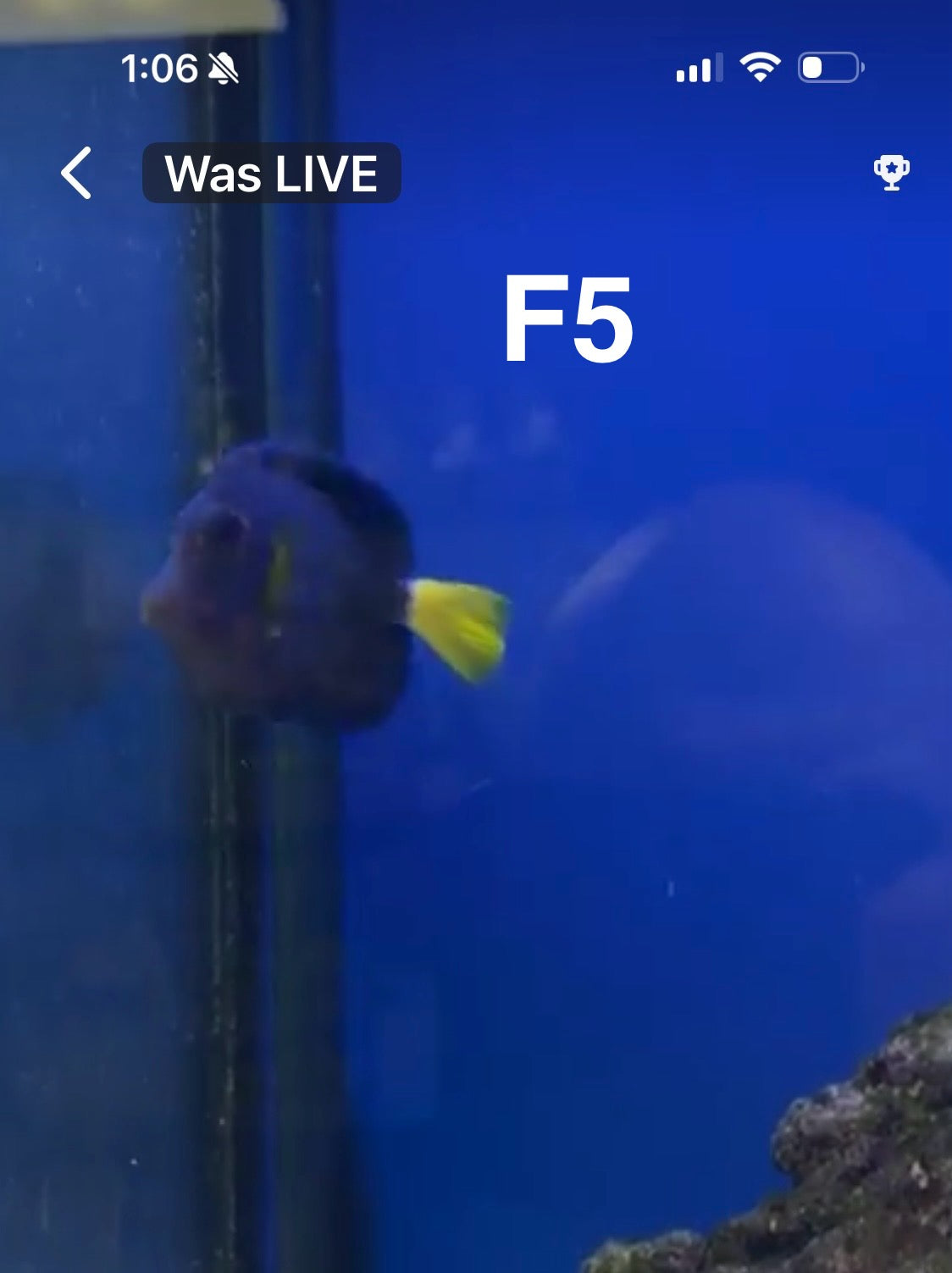 (Copy) Facebook Live Auction 9/20