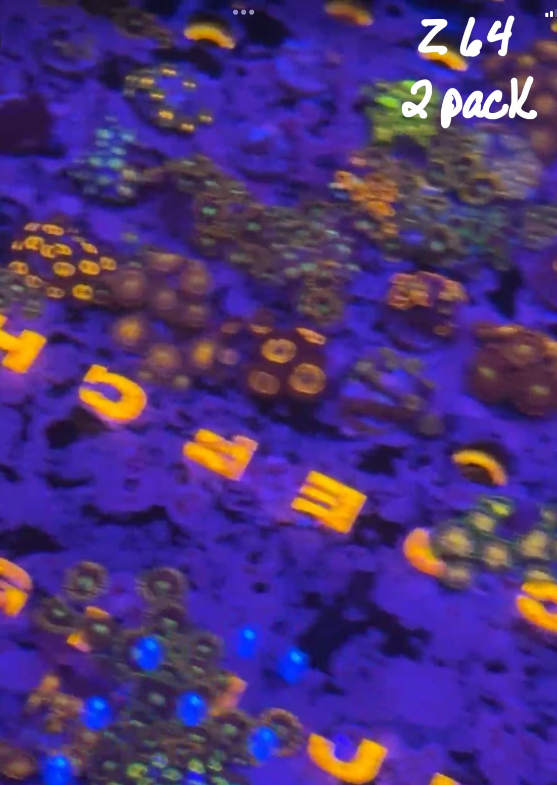 Facebook Live Auction 11/1