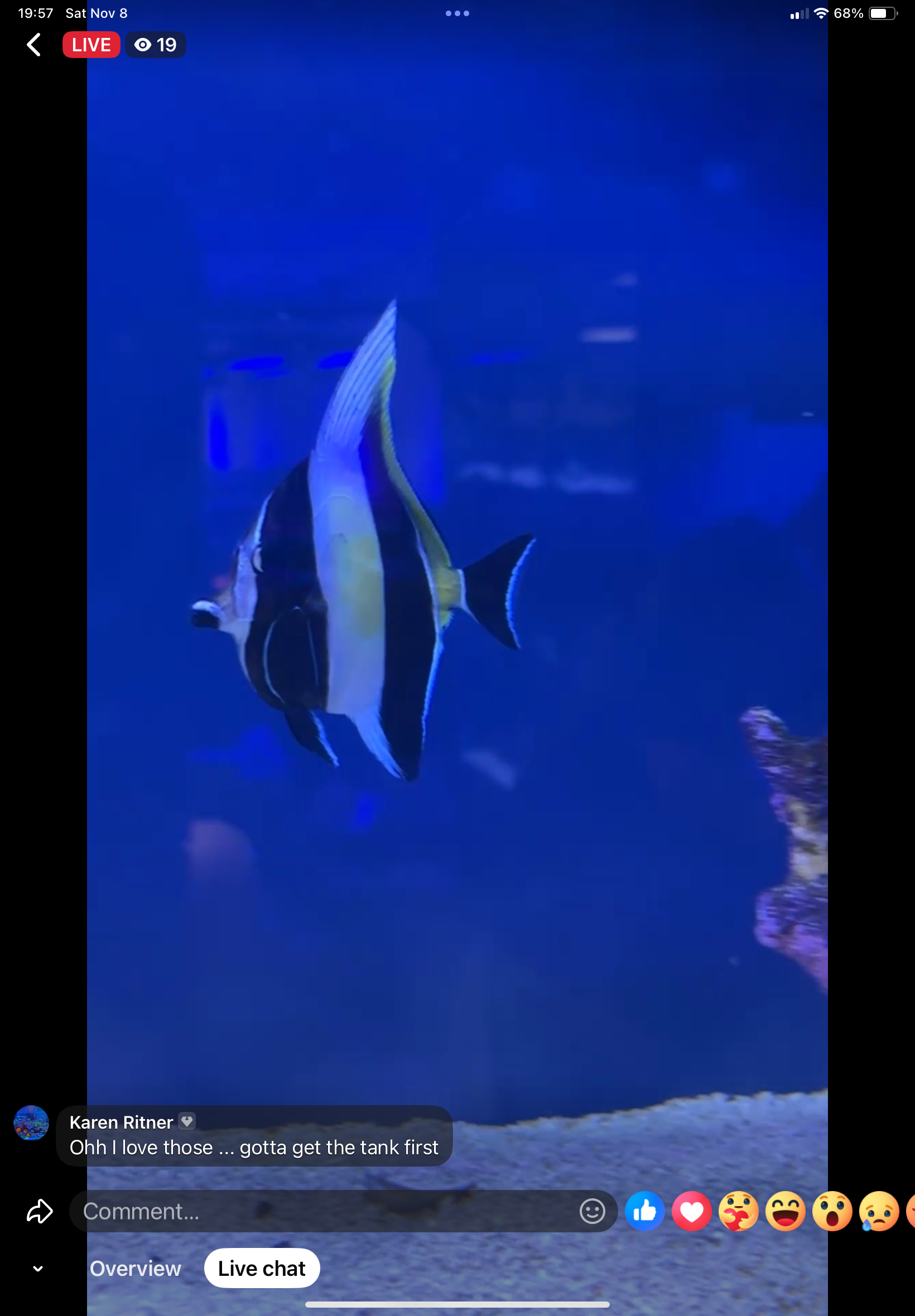 11/8 Facebook Live Auction