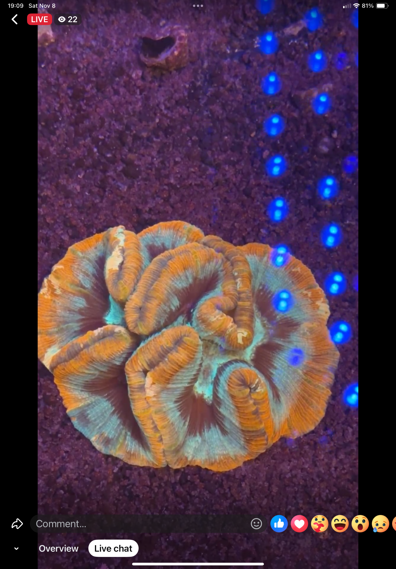 11/8 Facebook Live Auction