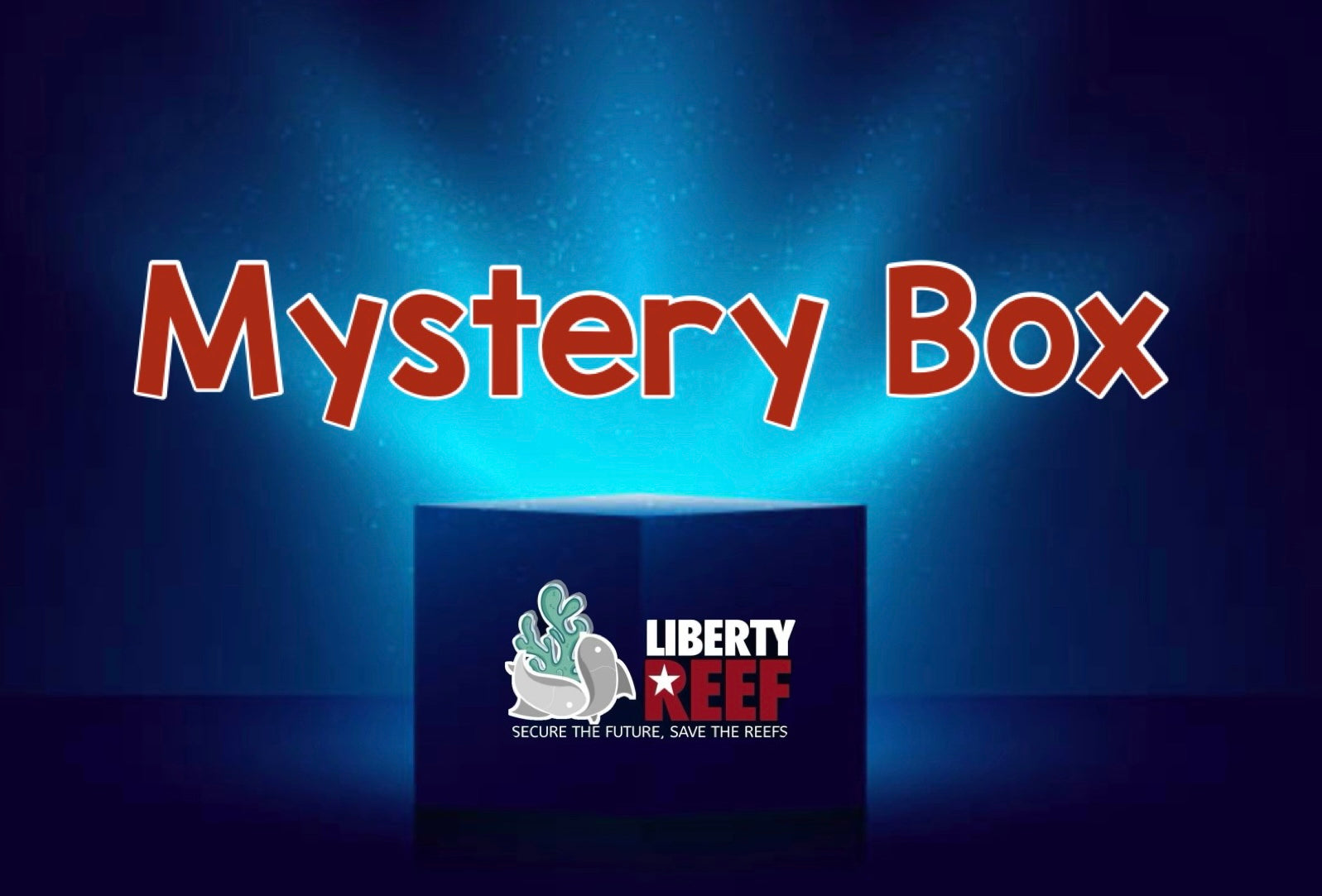 Mystery Box / Ships Free